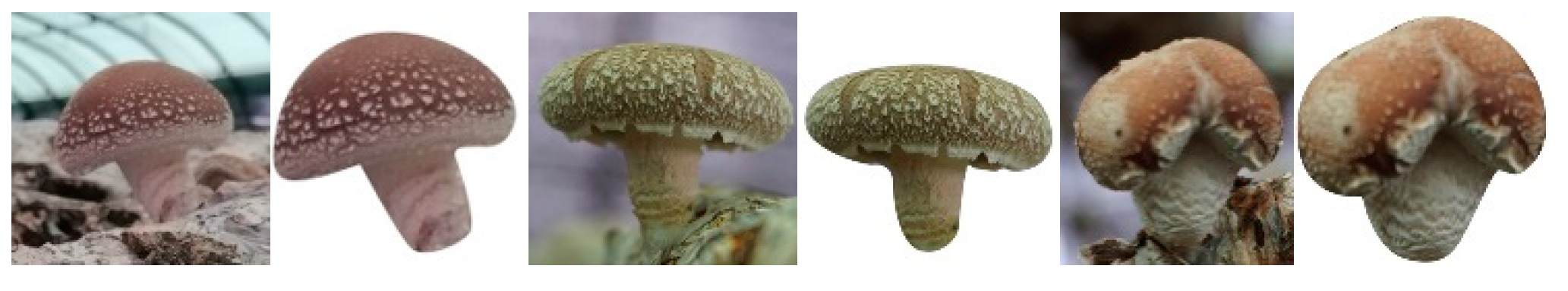 Agronomy 13 02924 g003