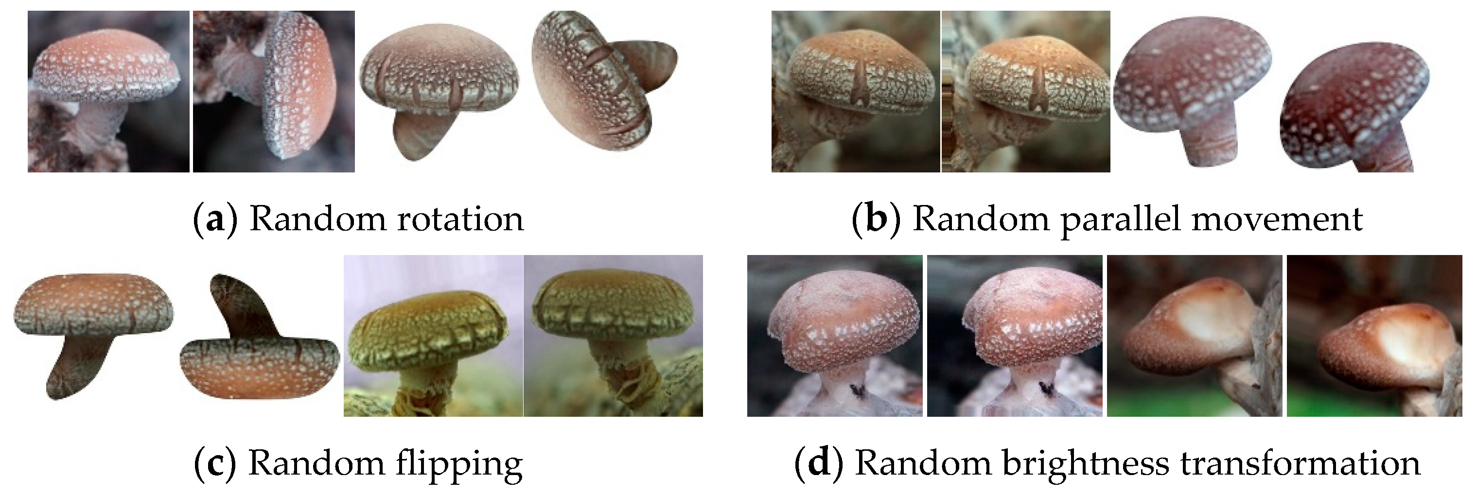 Agronomy 13 02924 g004