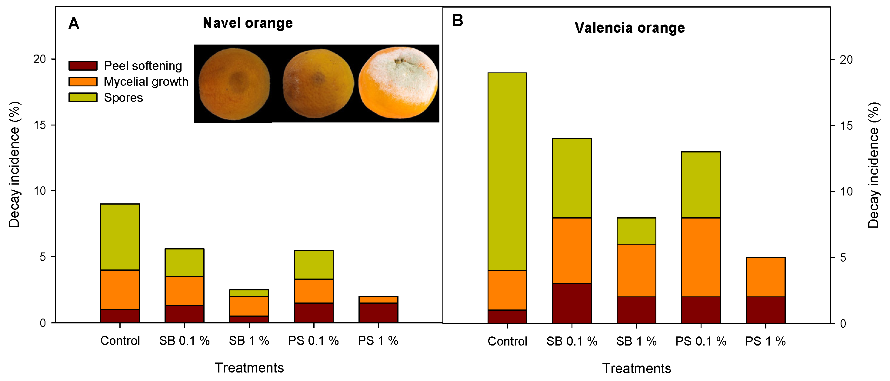 Agronomy 13 02925 g001