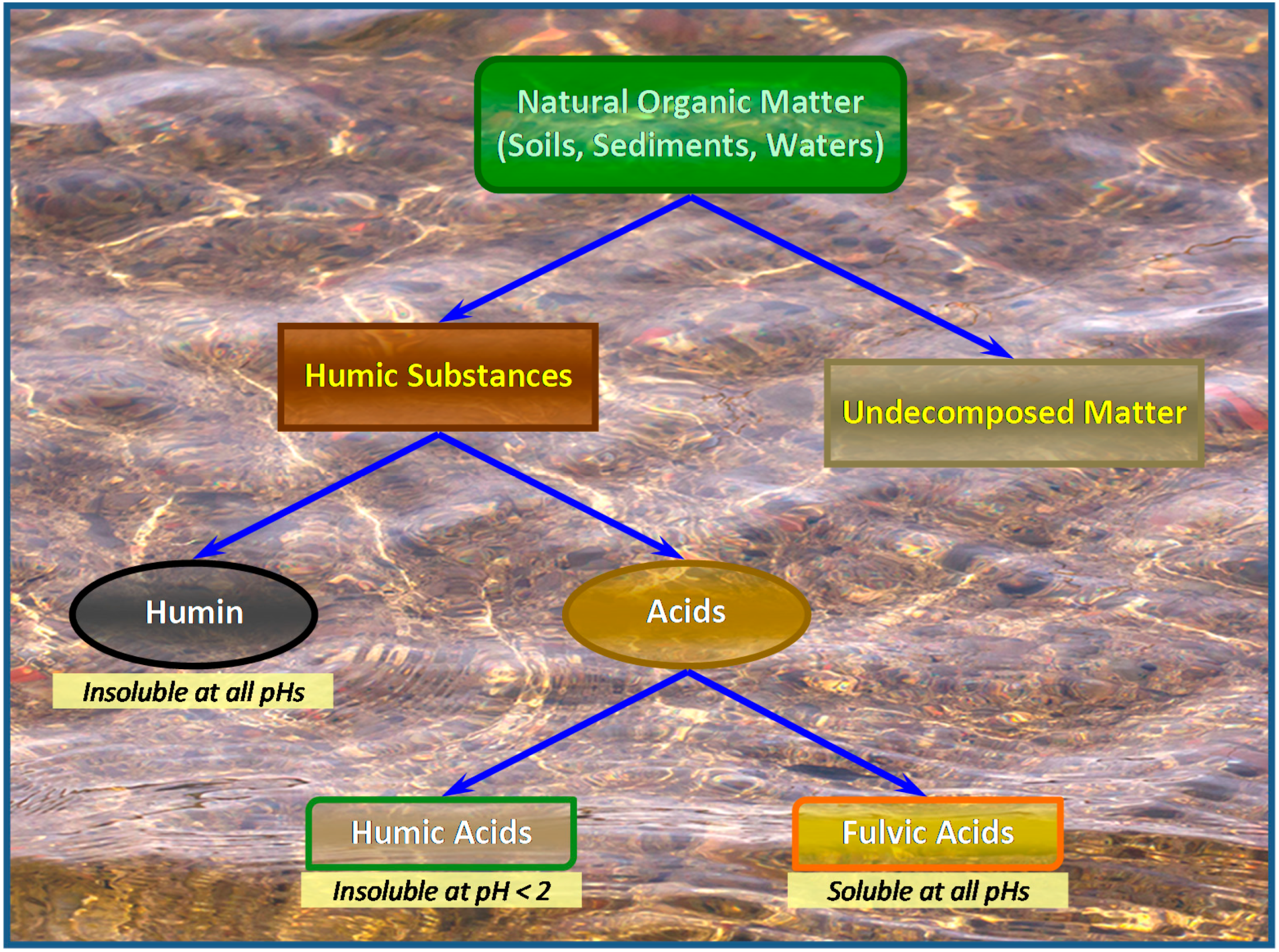 Macromolecular Size and Architecture of Humic Substances Used in 