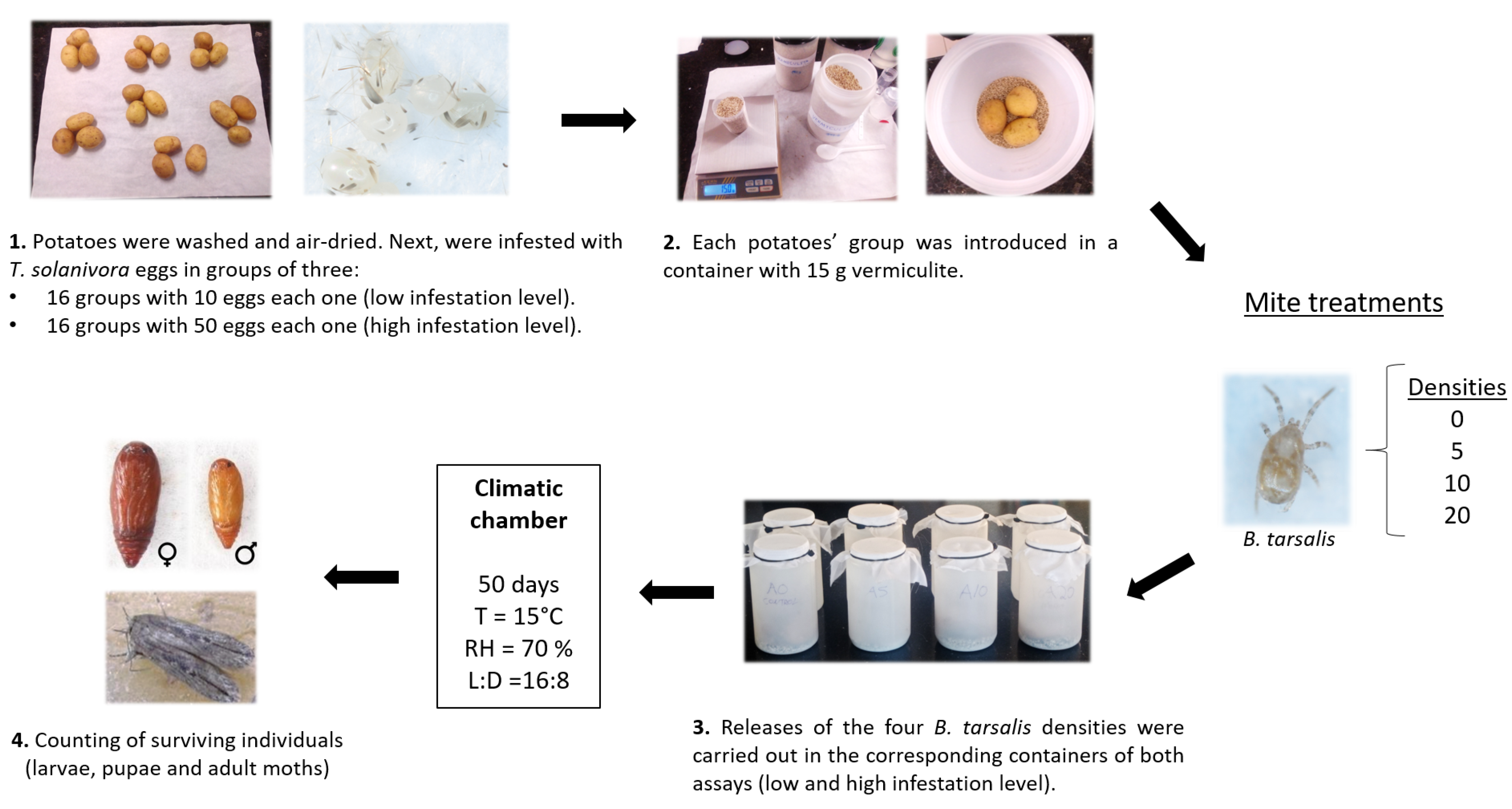 Agronomy 13 02927 g001