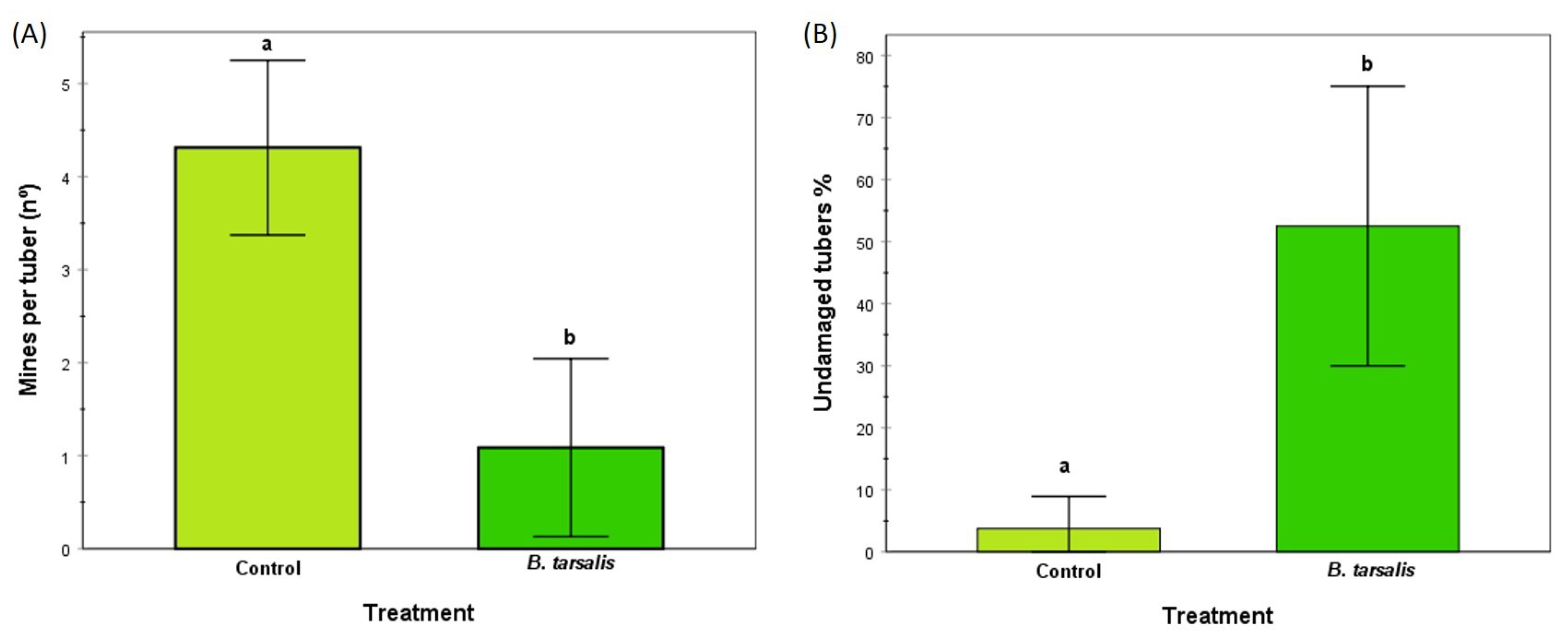 Agronomy 13 02927 g007