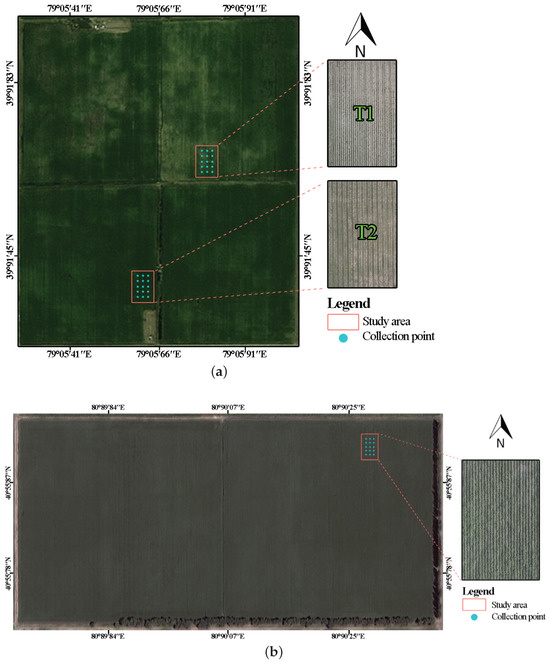 A Cotton Leaf Water Potential Prediction Model Based on
