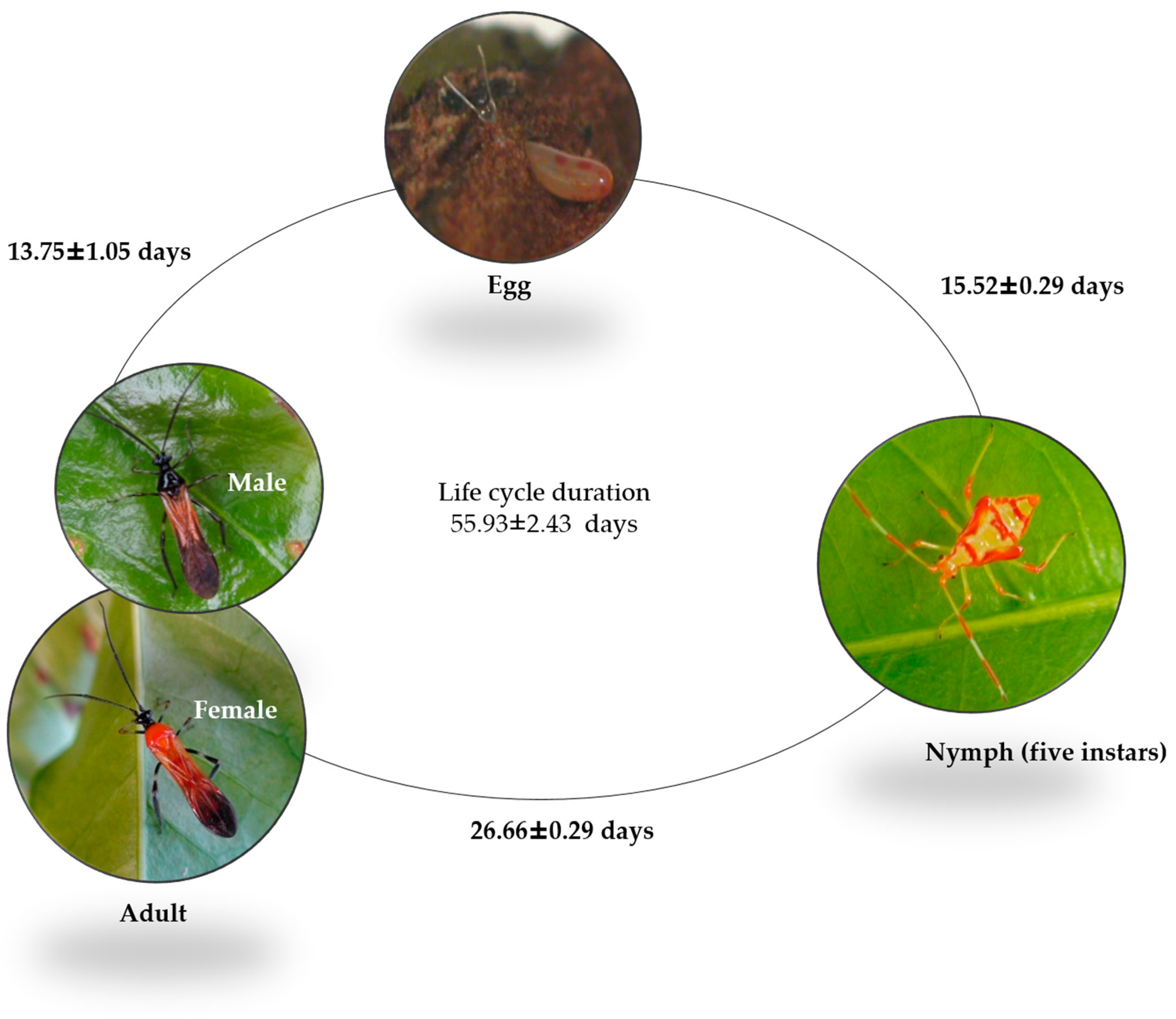 Agronomy 13 02940 g009