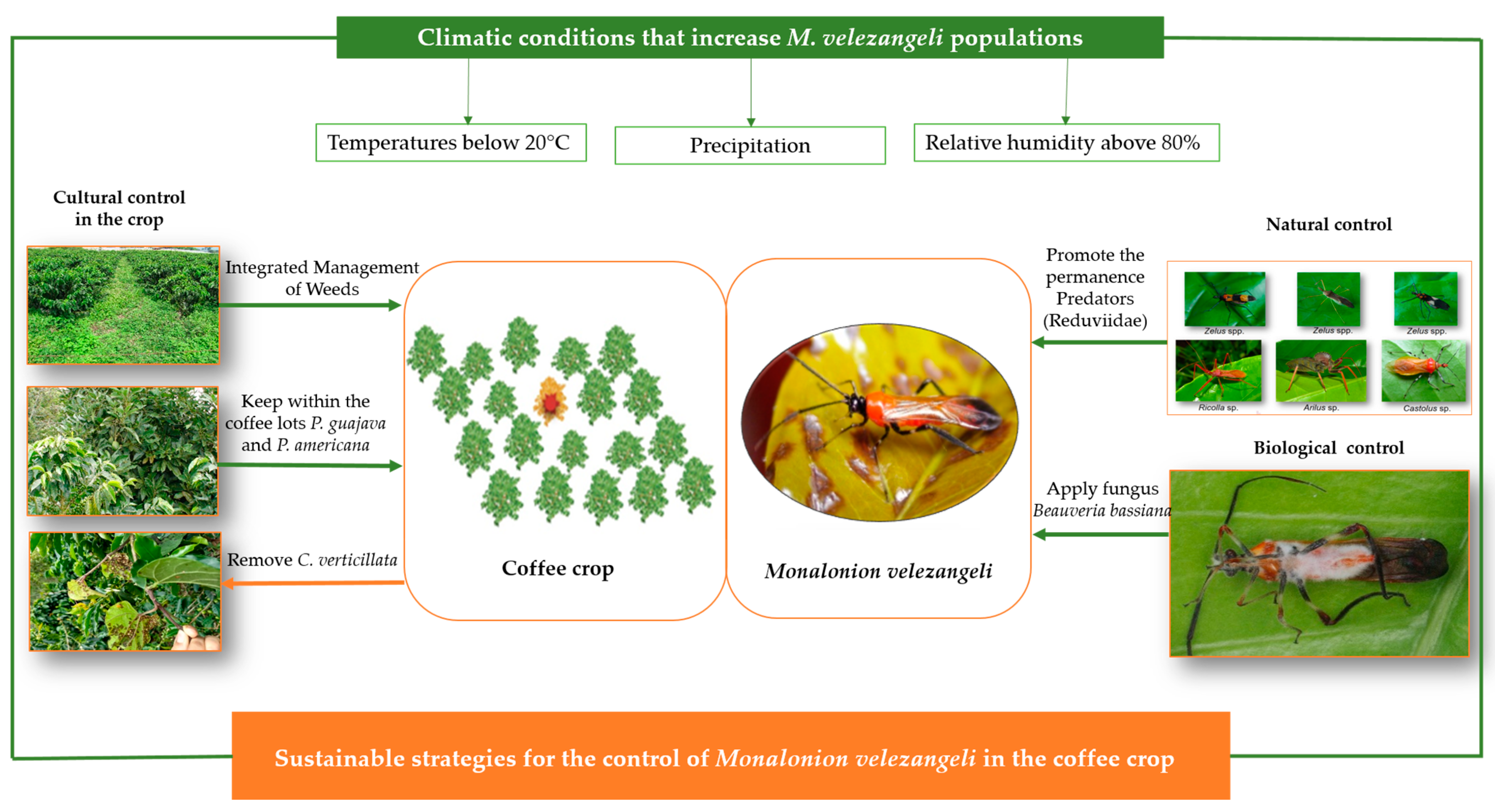 Agronomy 13 02940 g012