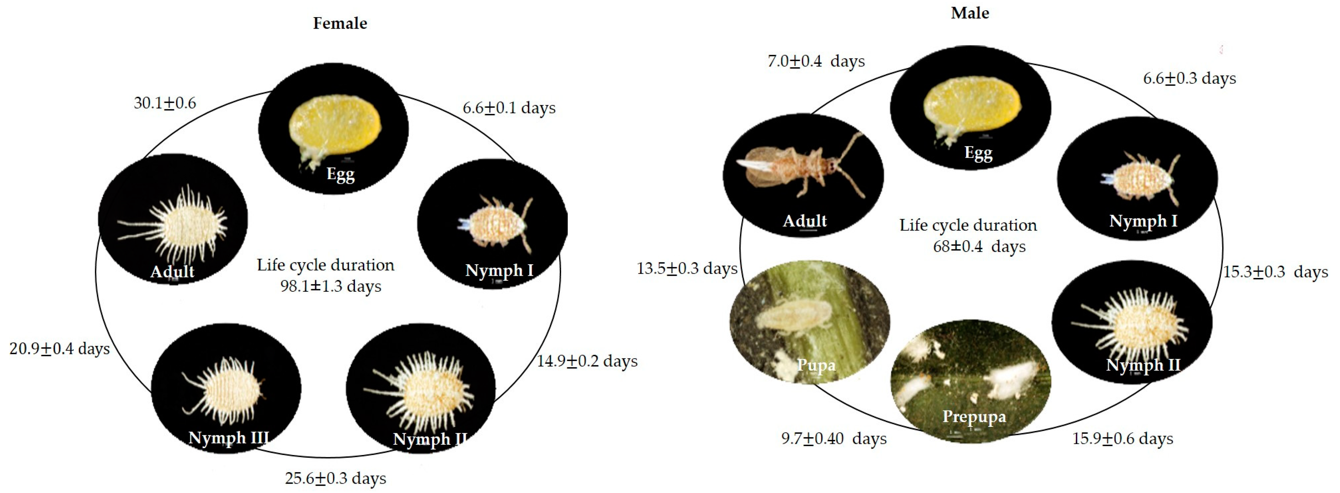 Agronomy 13 02940 g013