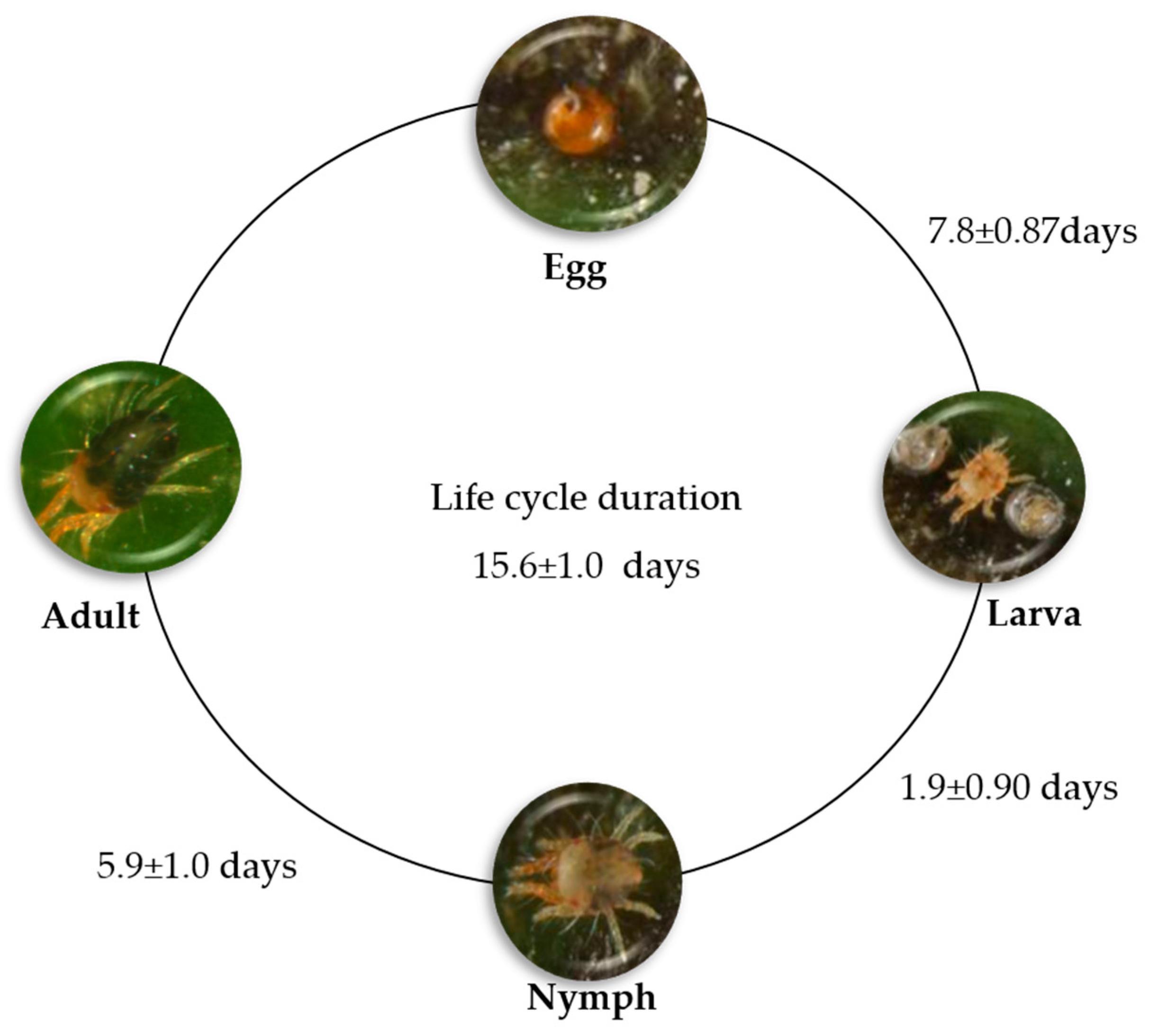 Agronomy 13 02940 g017