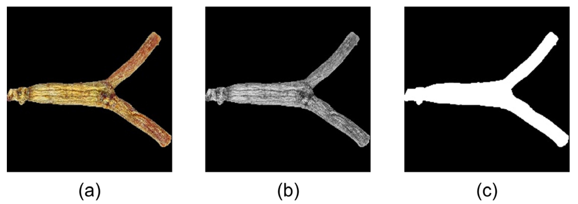 Agronomy 13 02943 g005