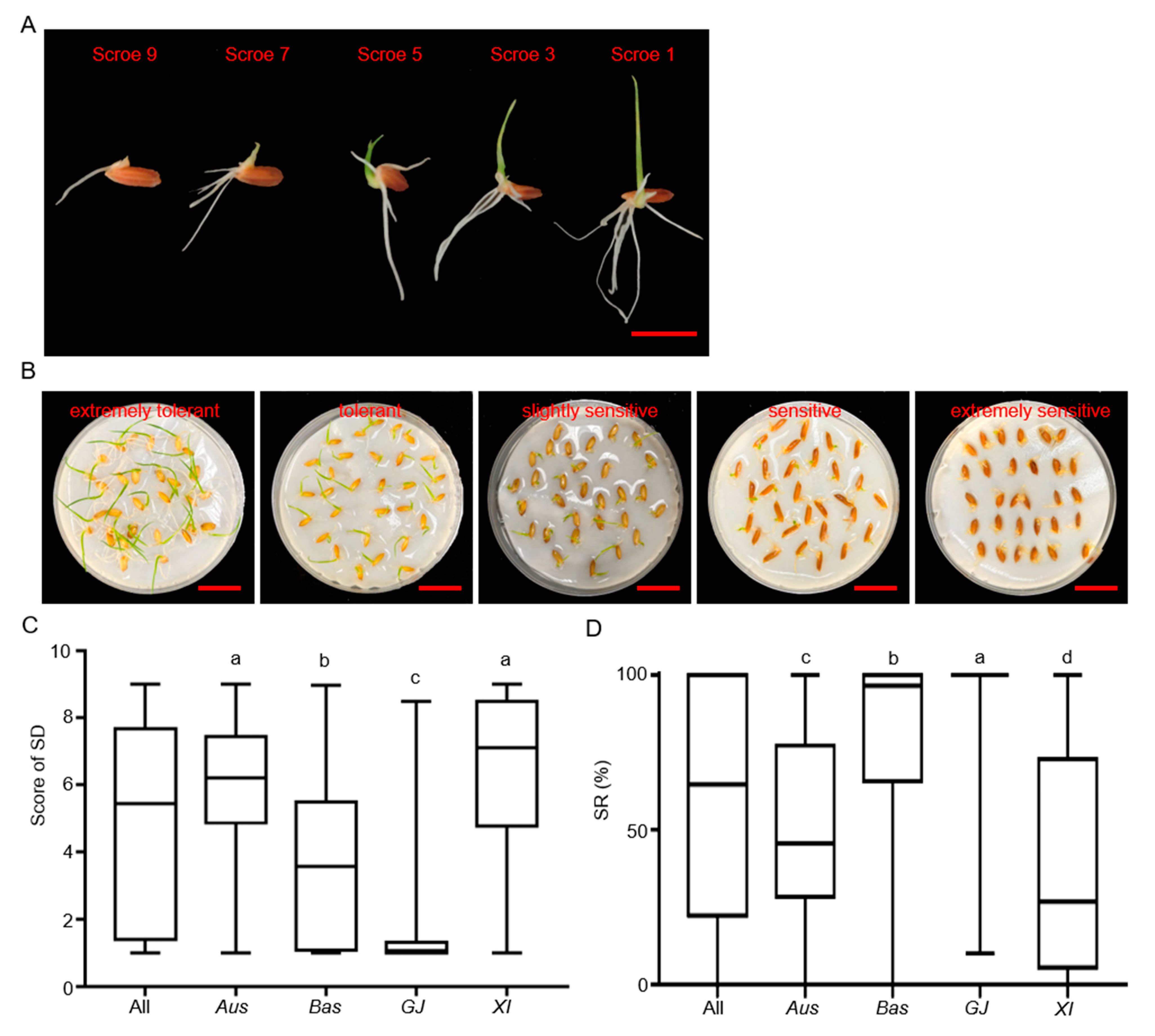 Agronomy 13 02945 g001 Agronomy 13 02945 g001