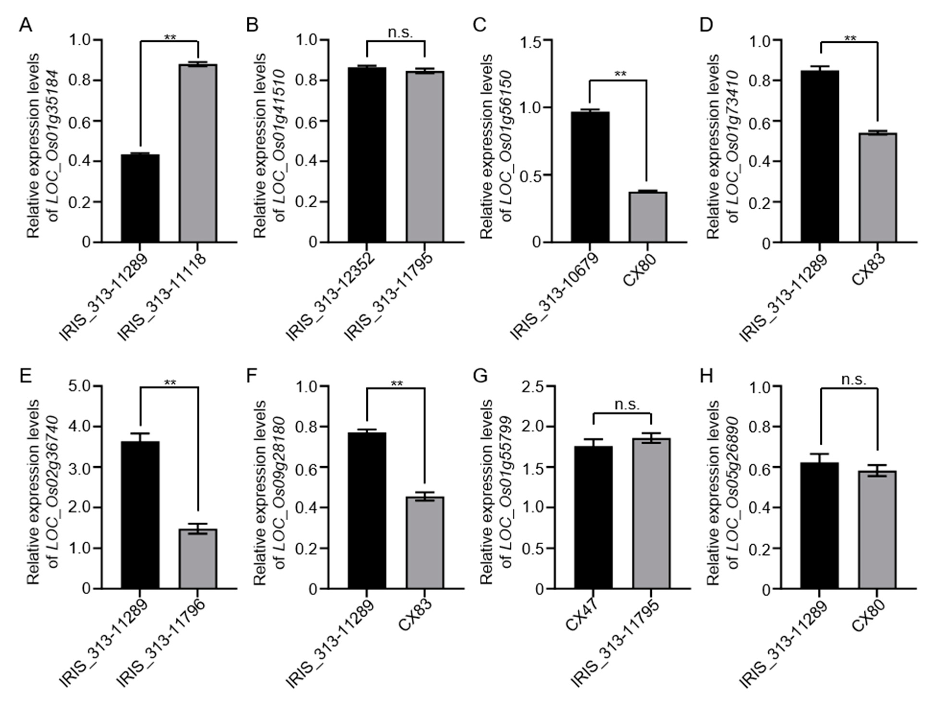 Agronomy 13 02945 g003 Agronomy 13 02945 g003