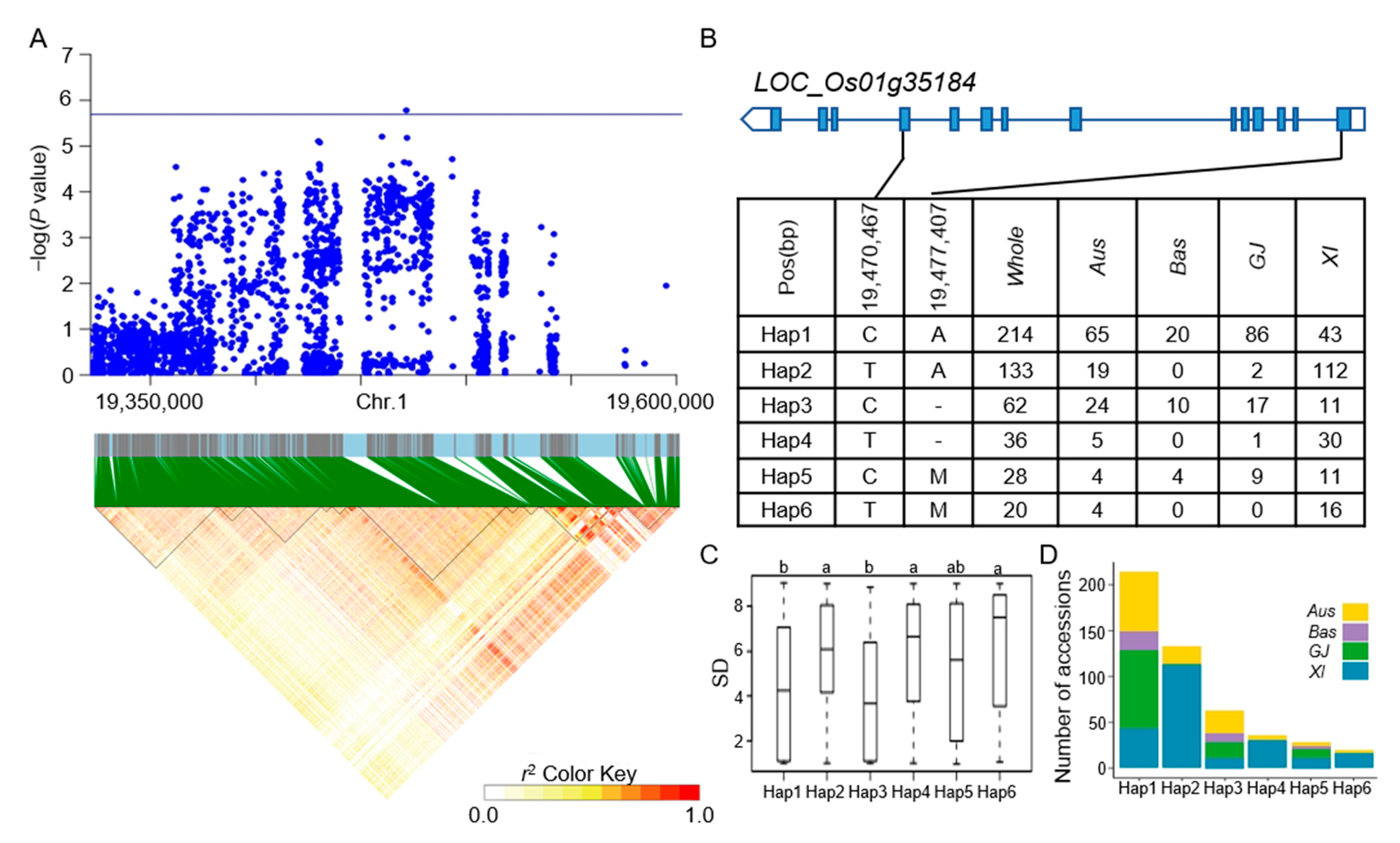 Agronomy 13 02945 g004 Agronomy 13 02945 g004