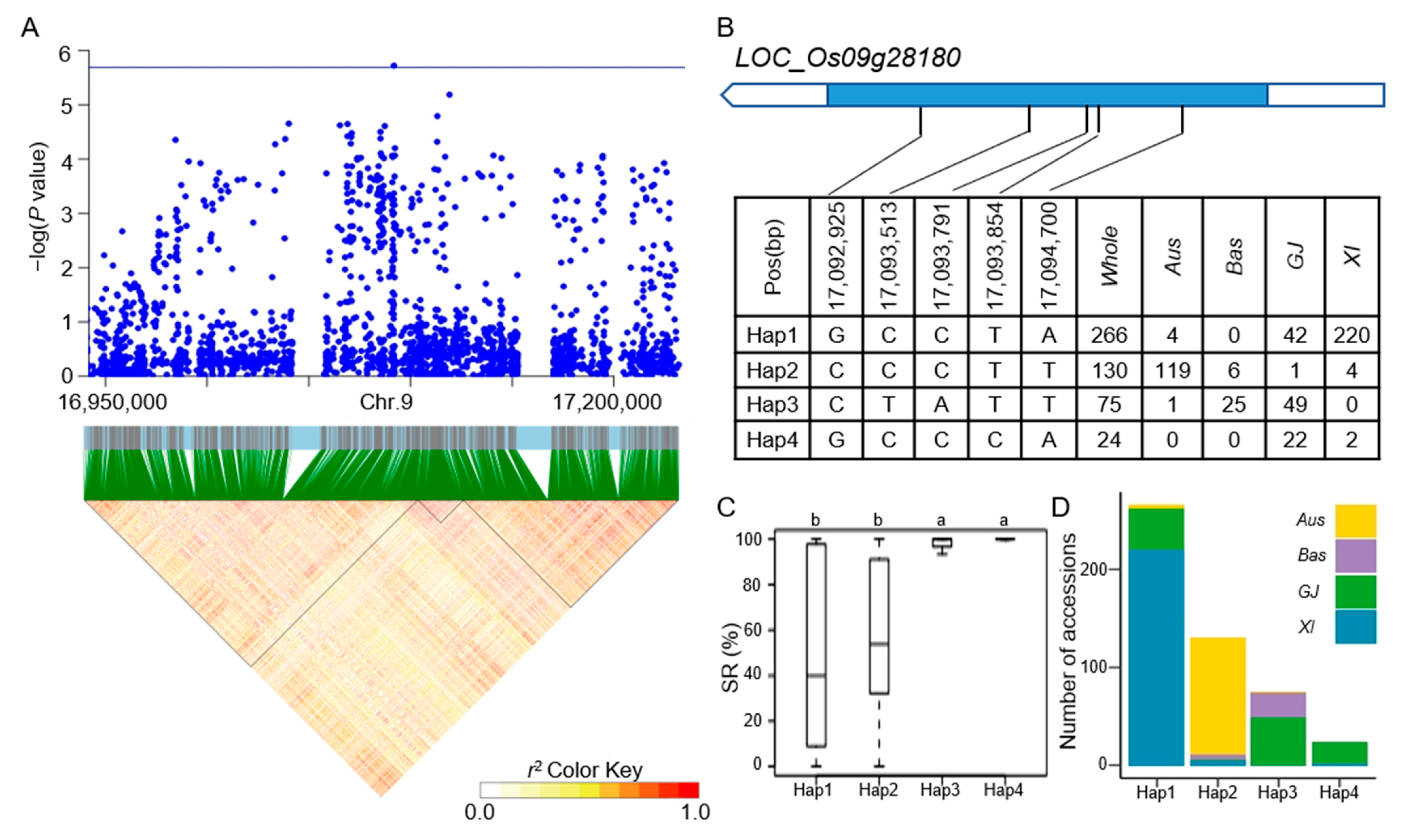Agronomy 13 02945 g008 Agronomy 13 02945 g008