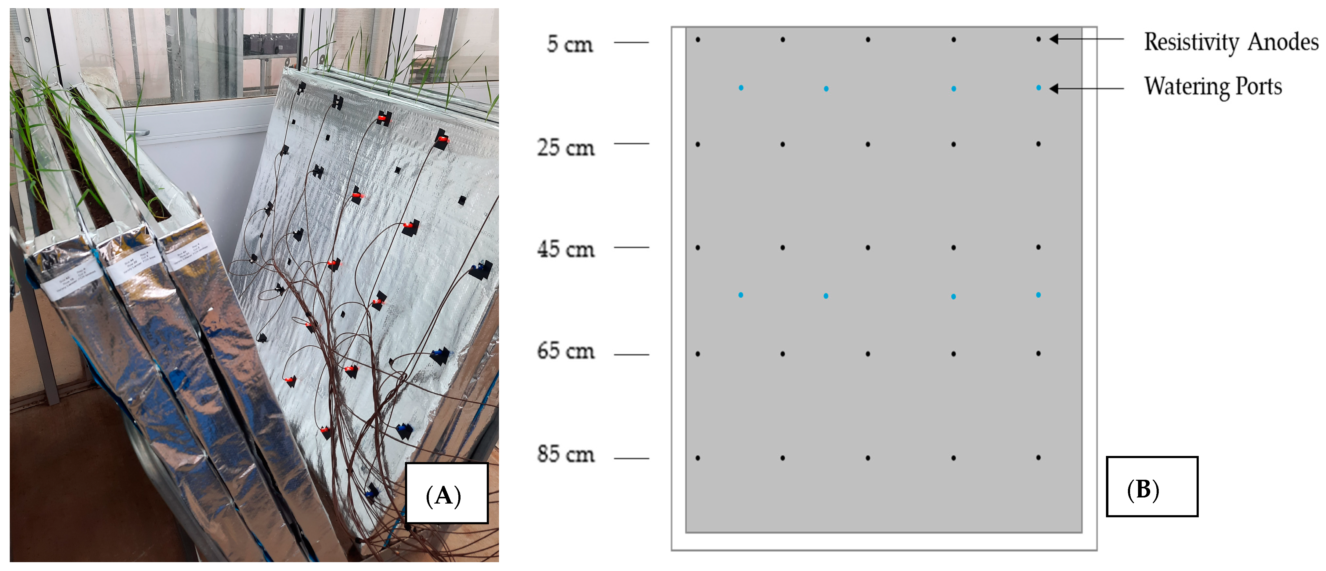 Agronomy 13 02955 g001