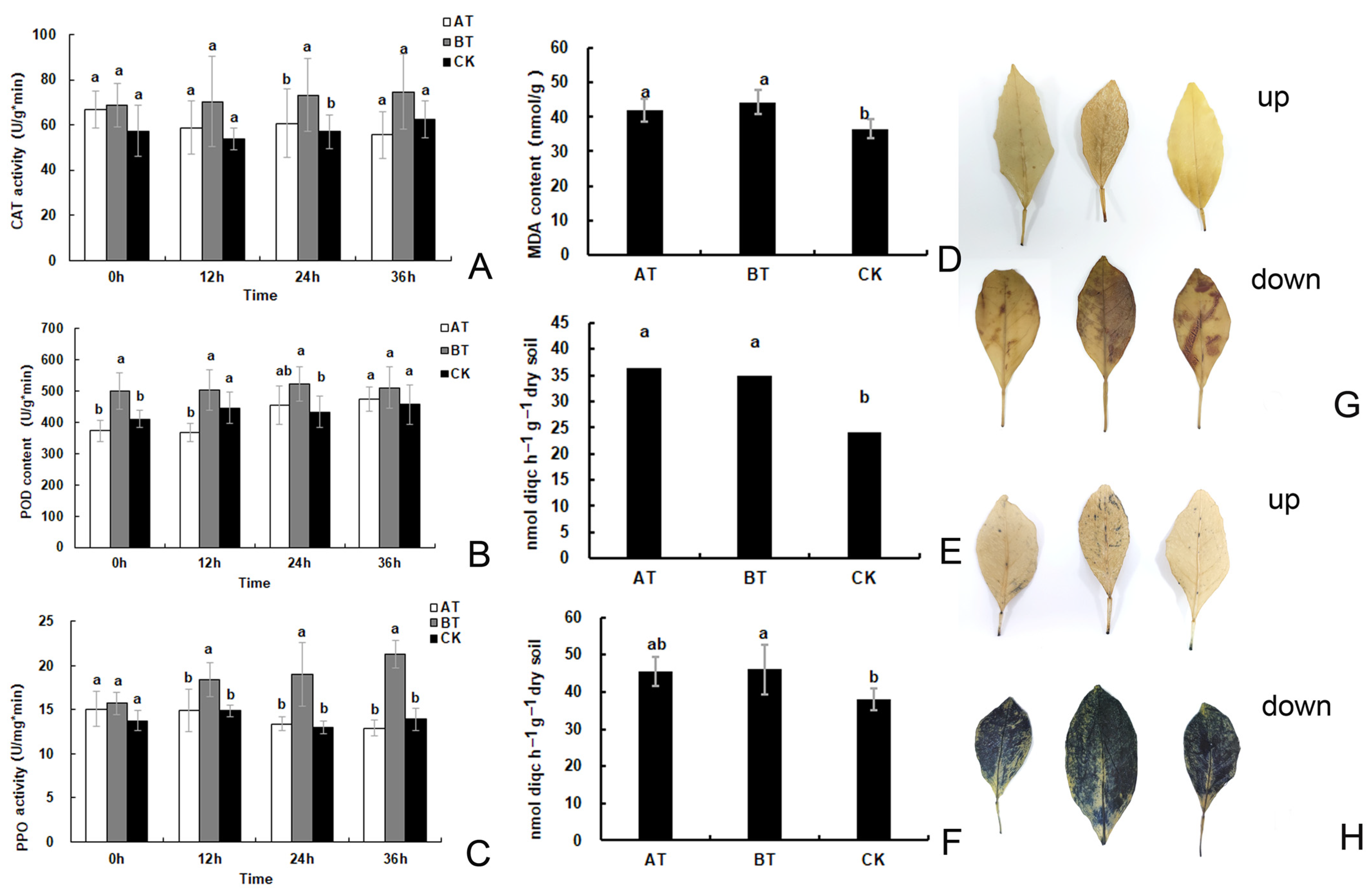 Agronomy 13 02958 g002
