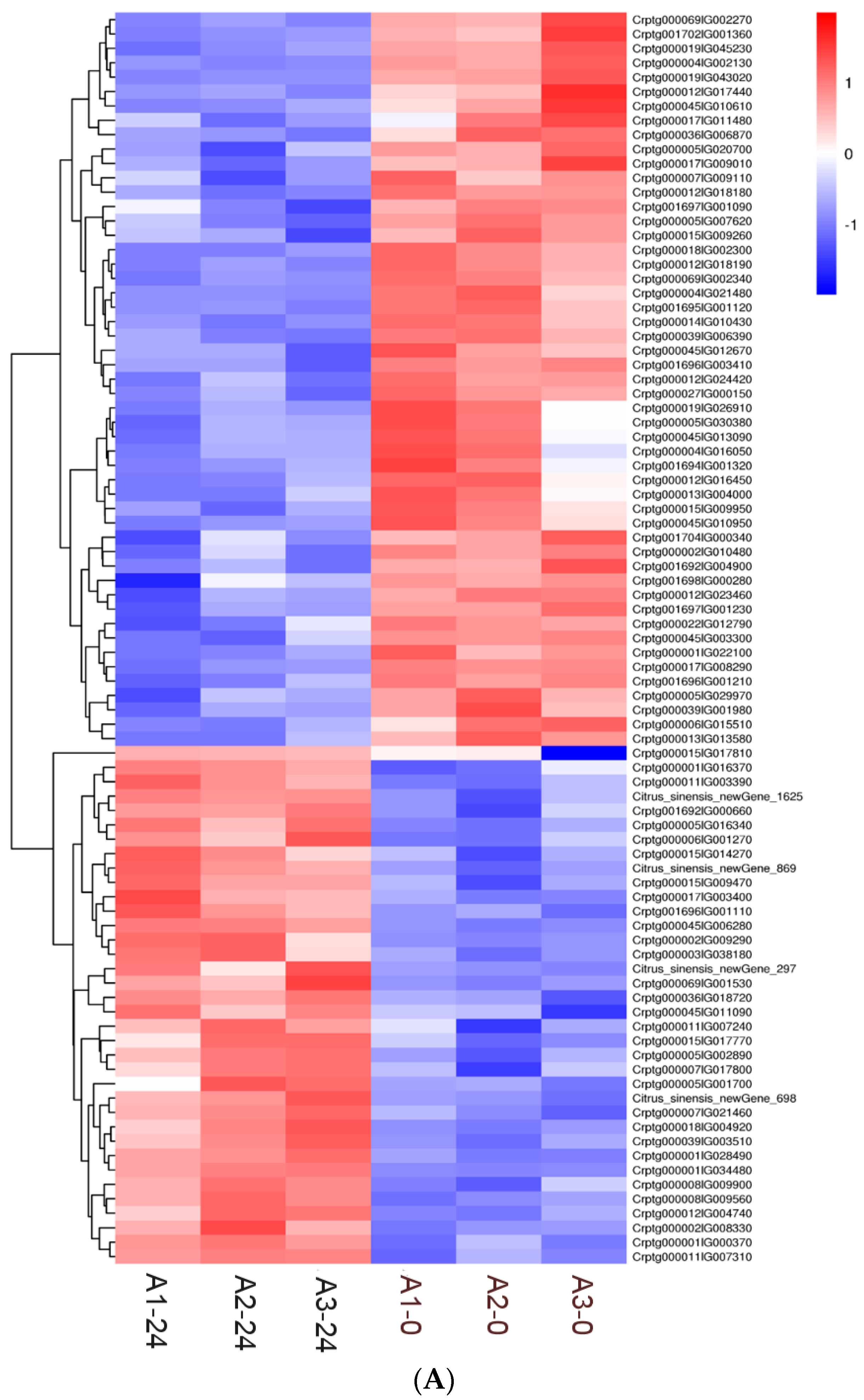 Agronomy 13 02958 g004a