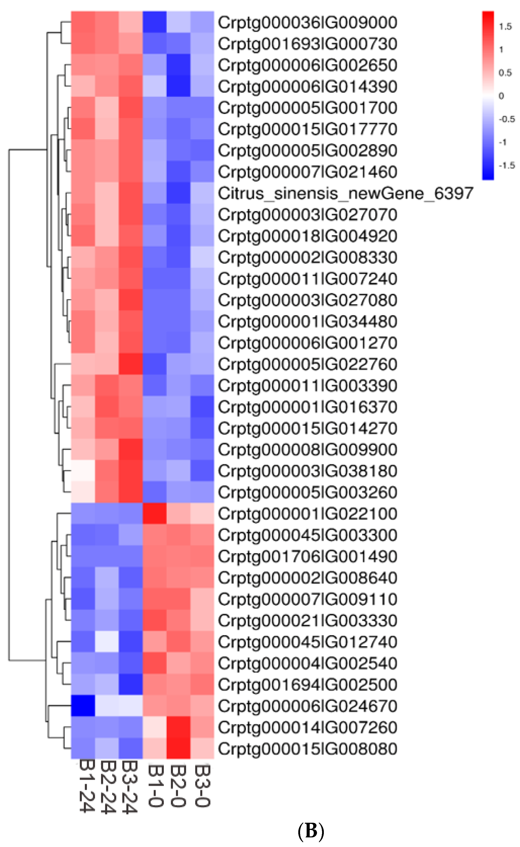 Agronomy 13 02958 g004b