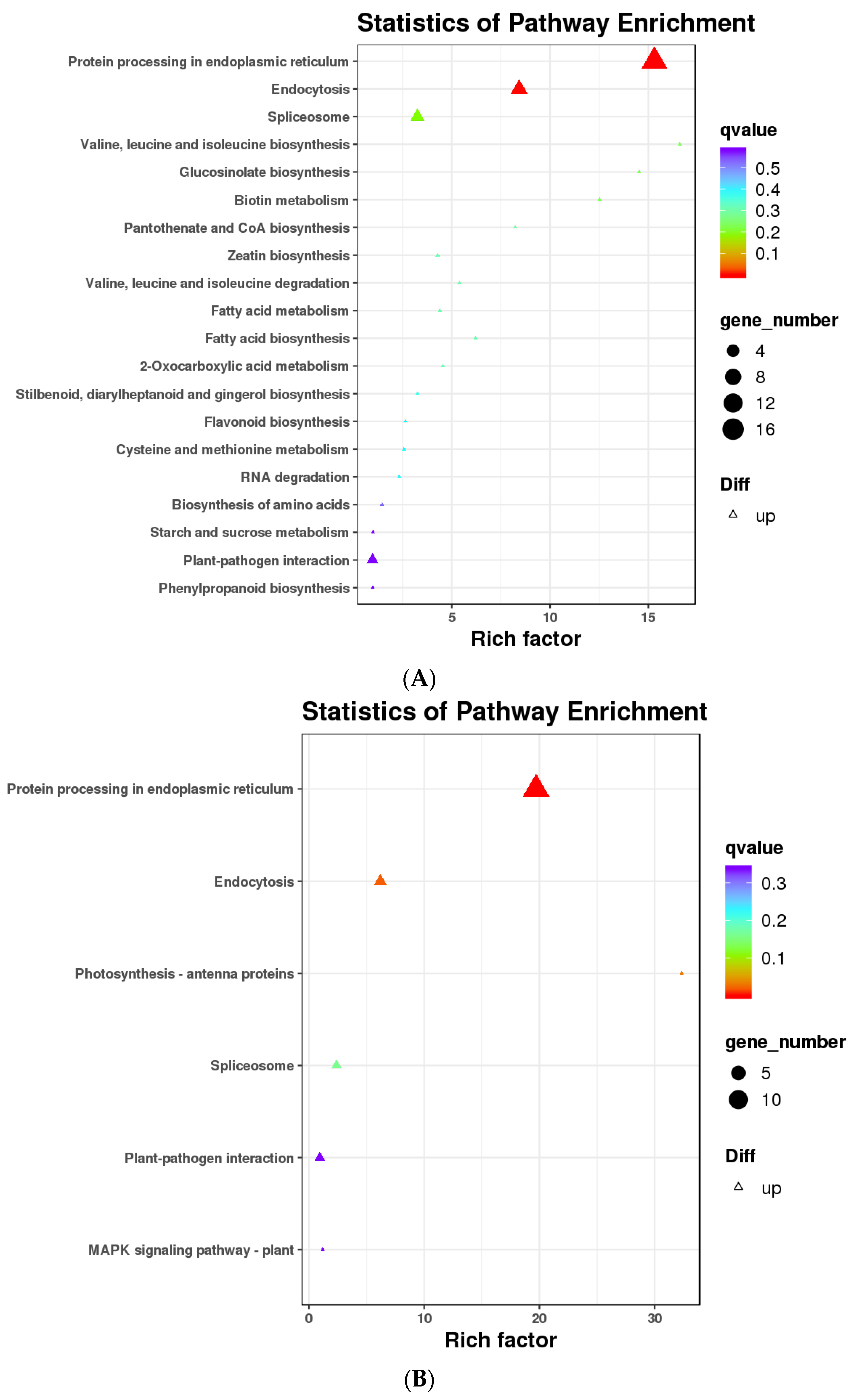 Agronomy 13 02958 g005
