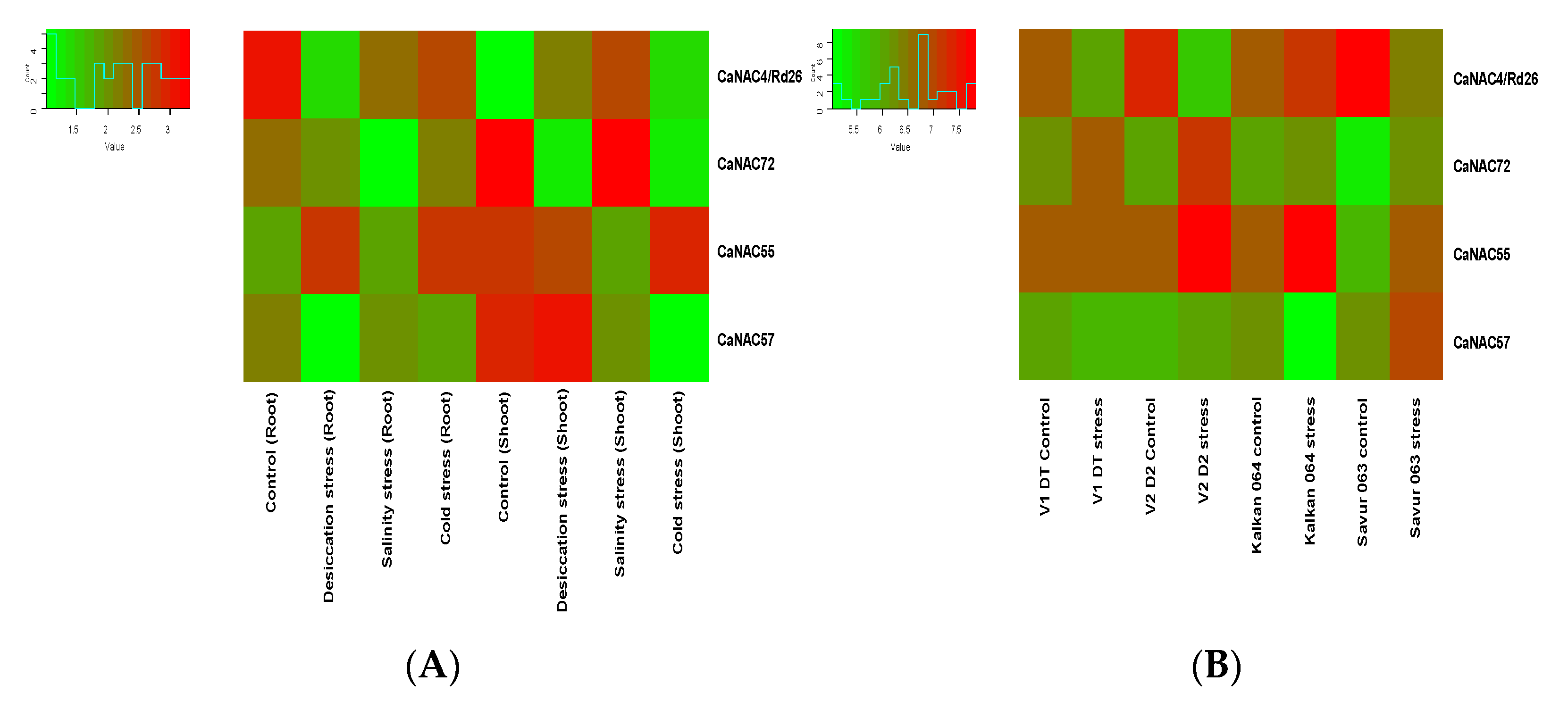Agronomy 13 02963 g006