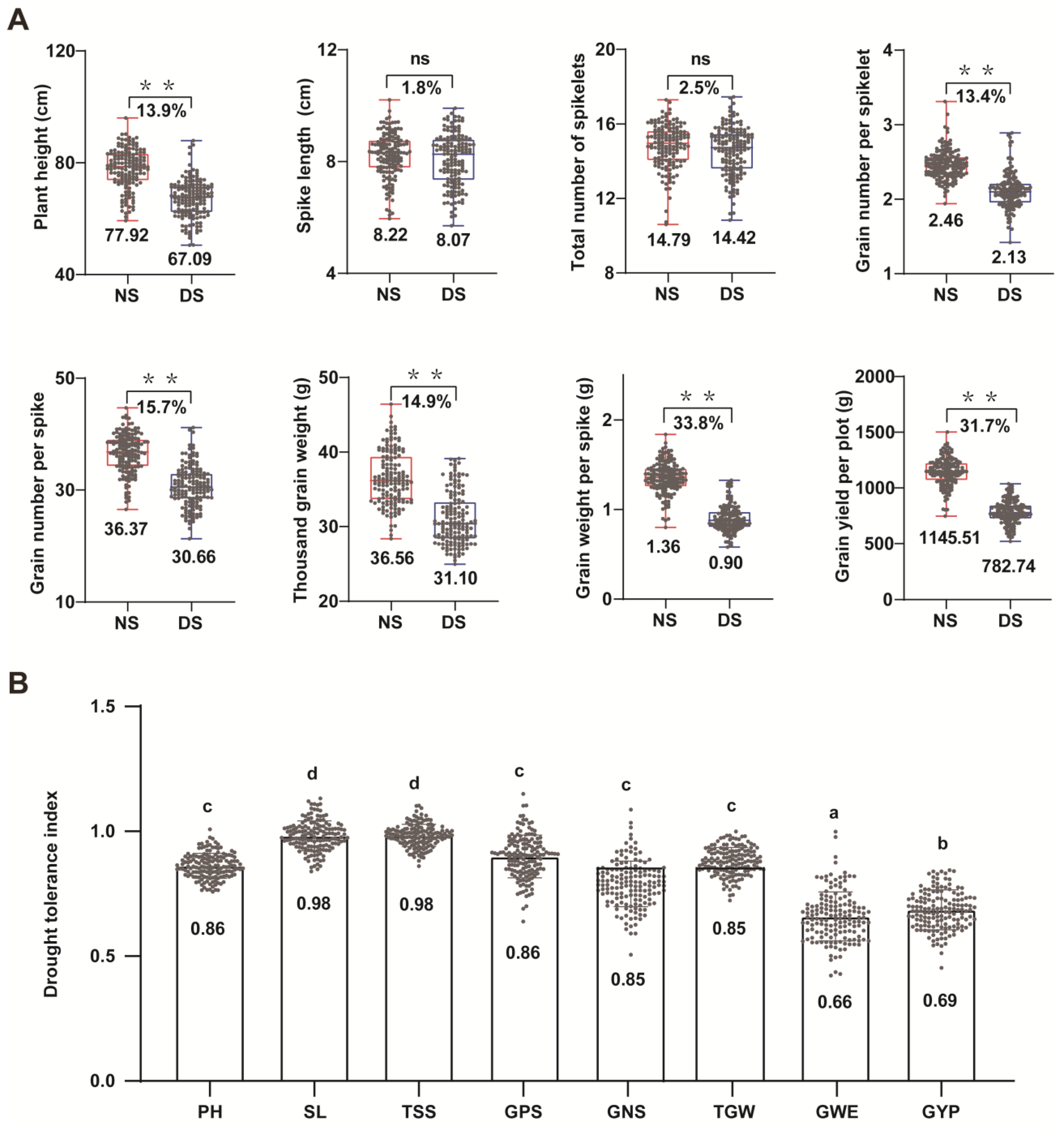 Agronomy 13 02968 g002