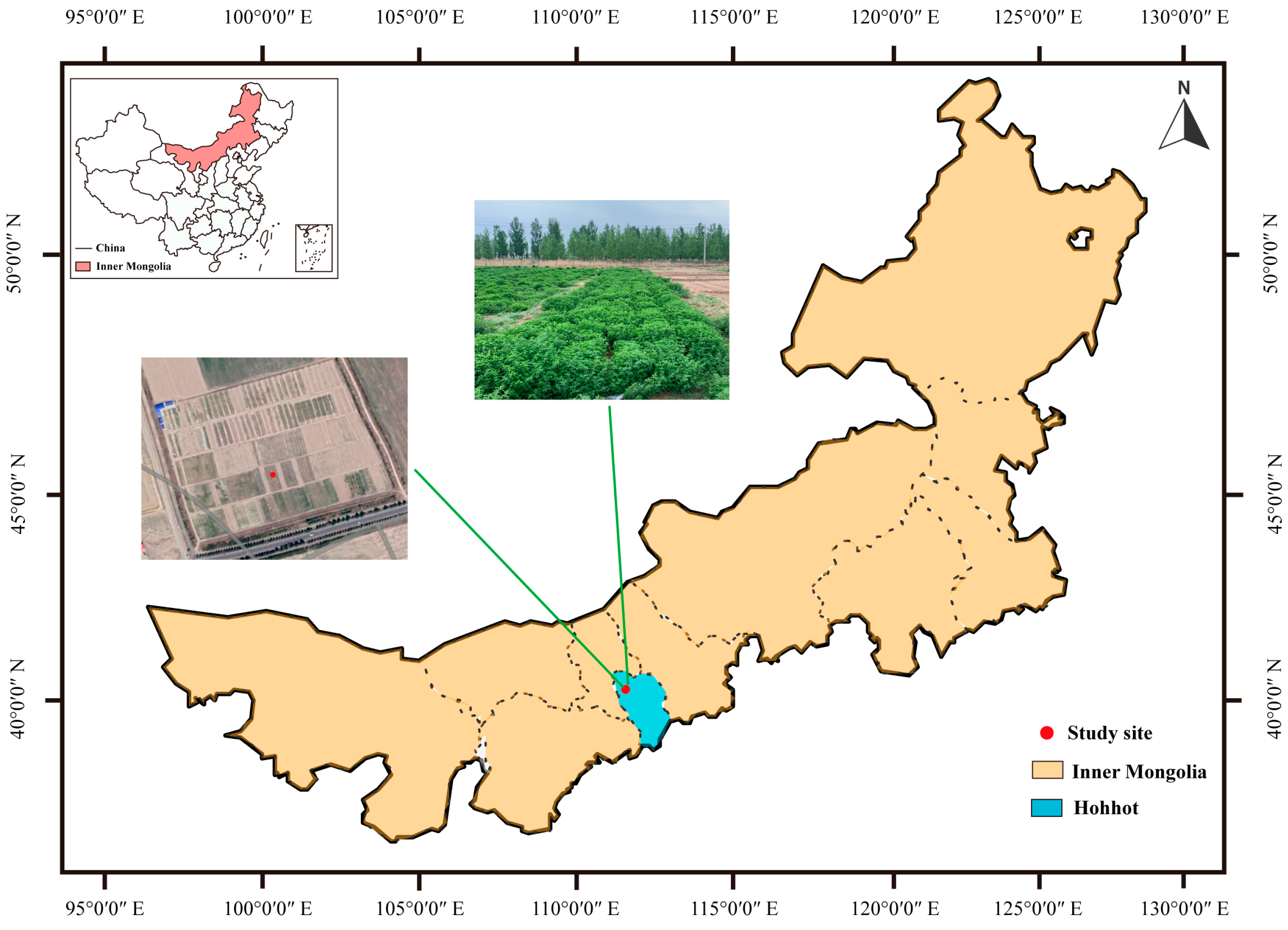 Agronomy 13 02977 g001