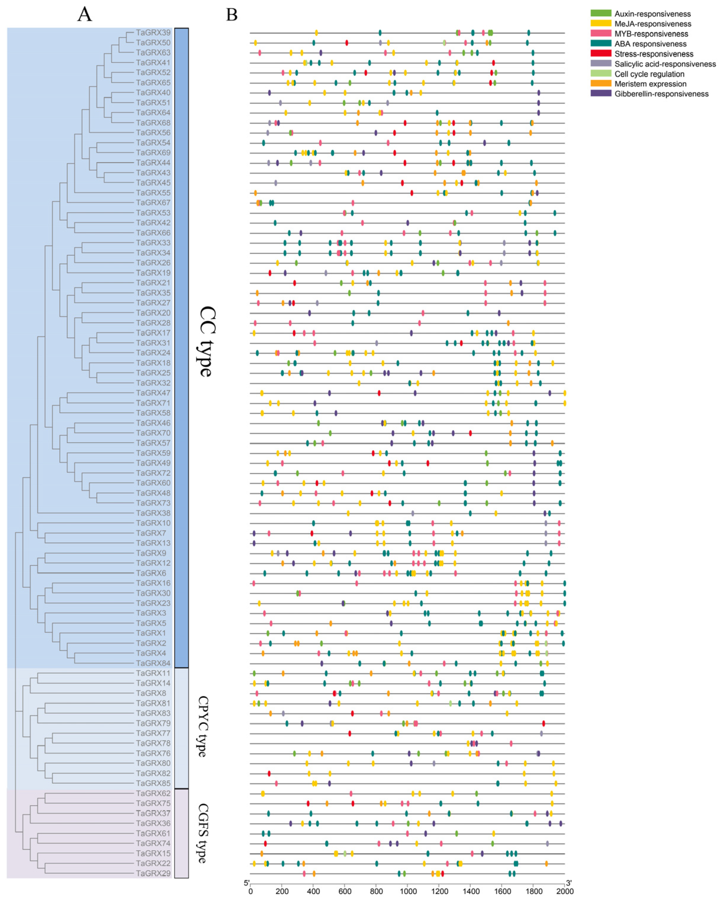 Agronomy 13 02985 g005
