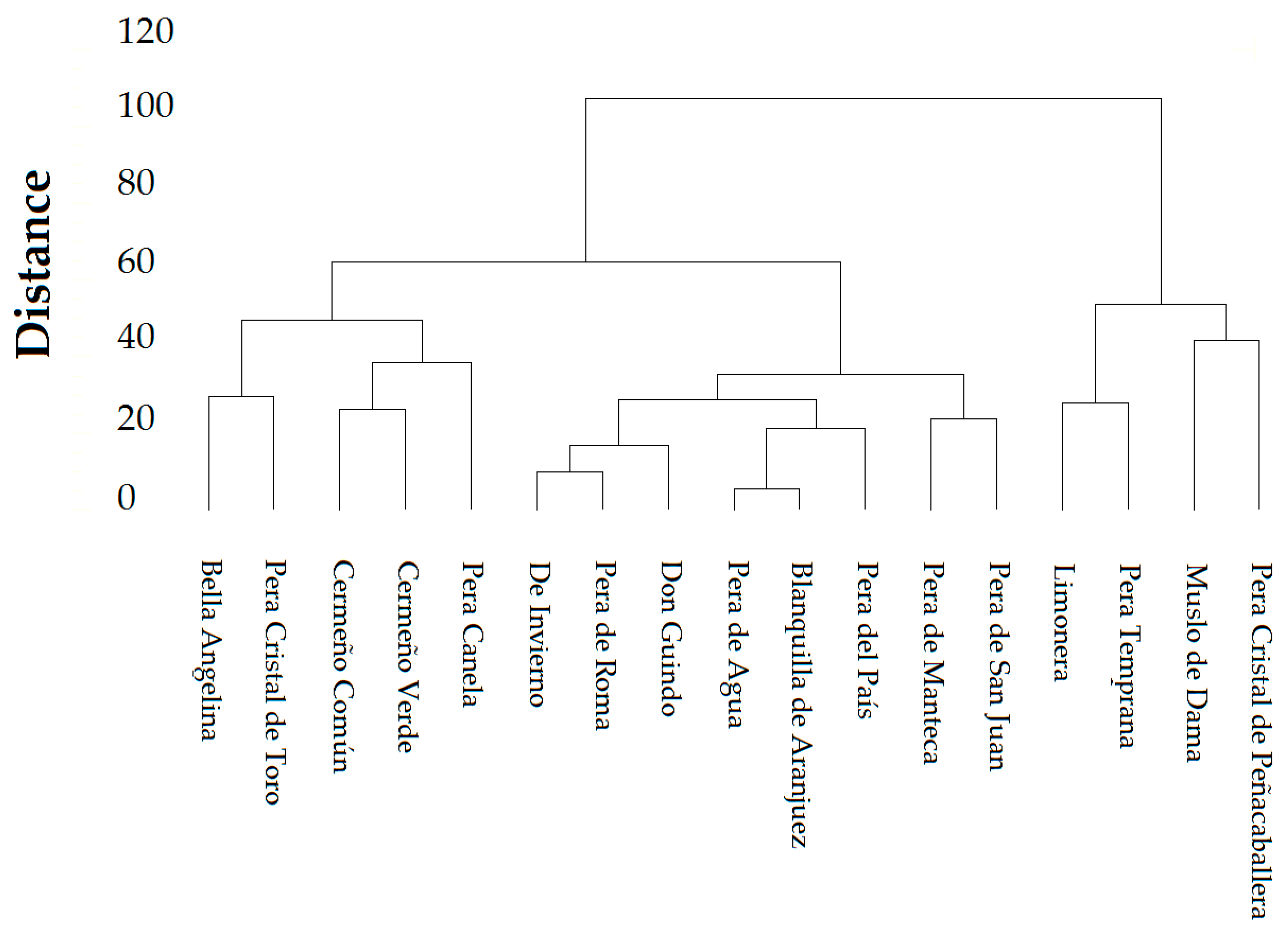 Agronomy 13 02993 g002