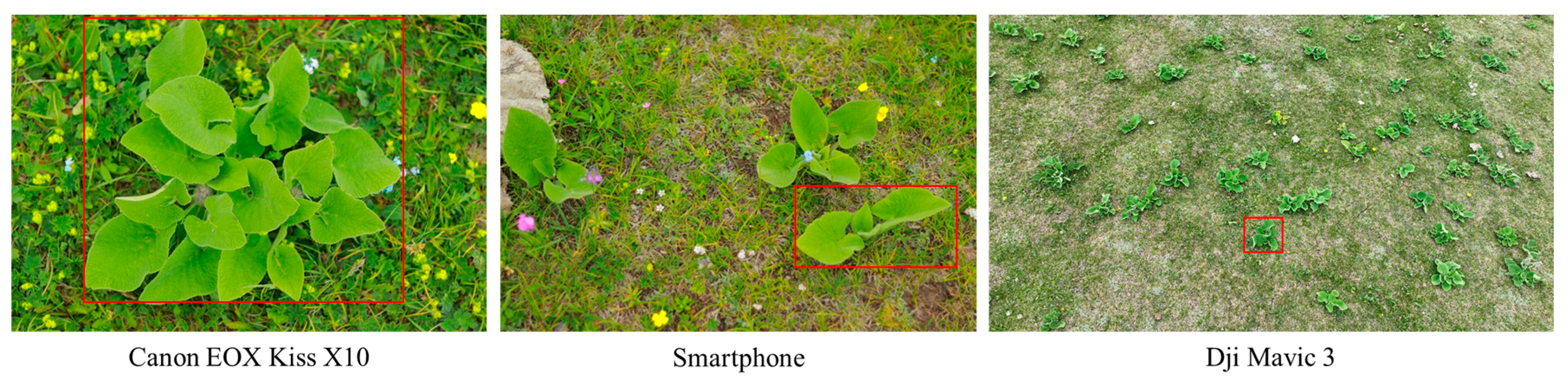 Agronomy 13 03001 g001