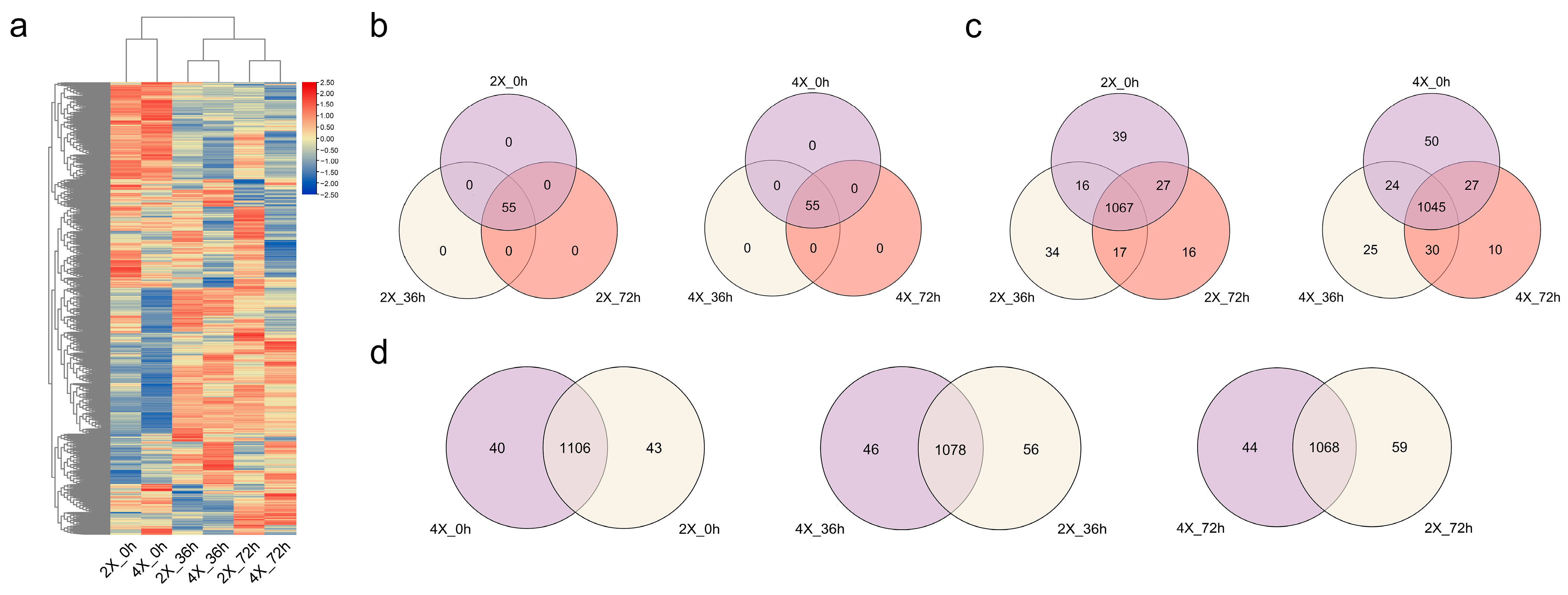 Agronomy 13 03007 g001
