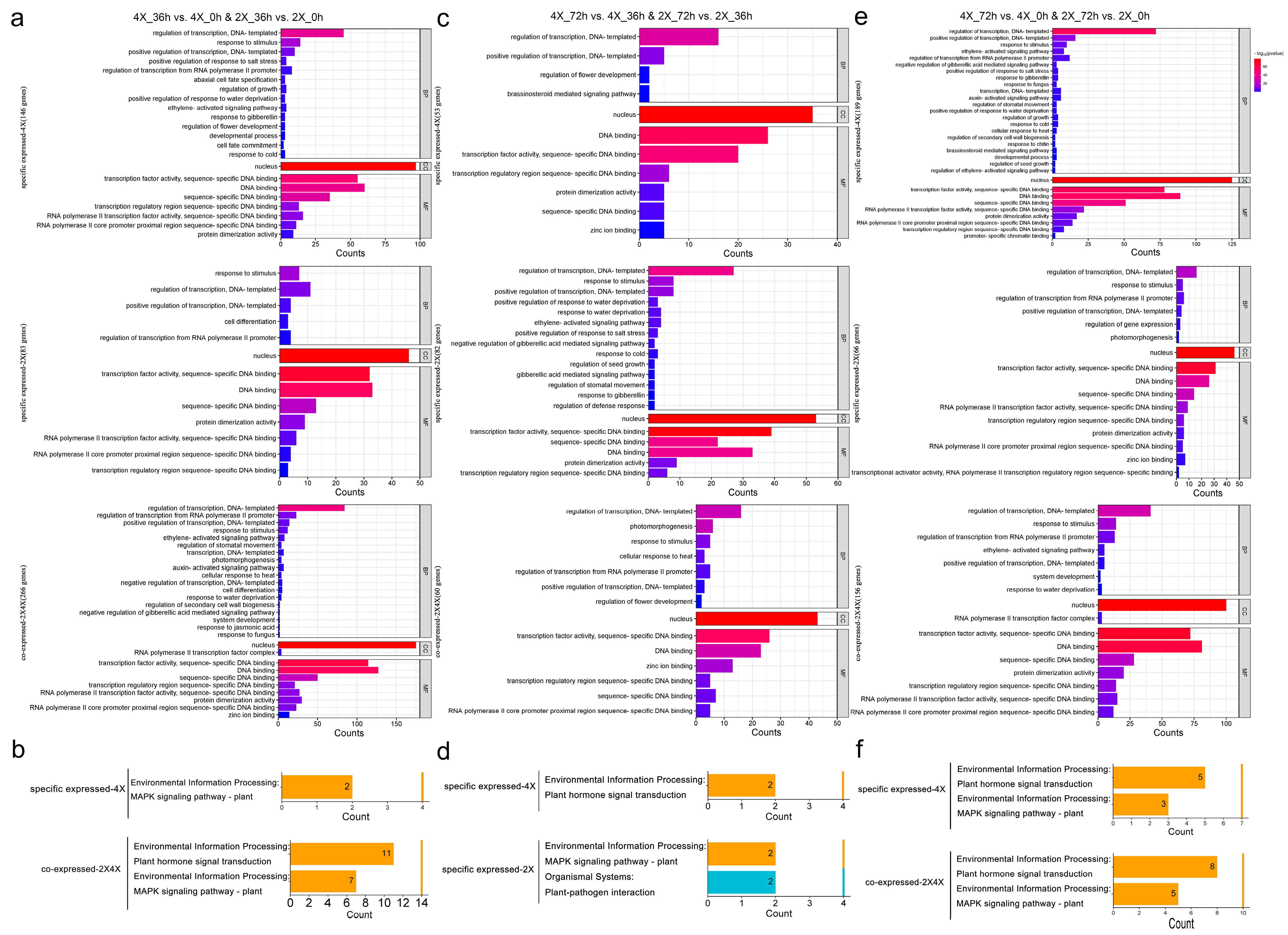 Agronomy 13 03007 g004