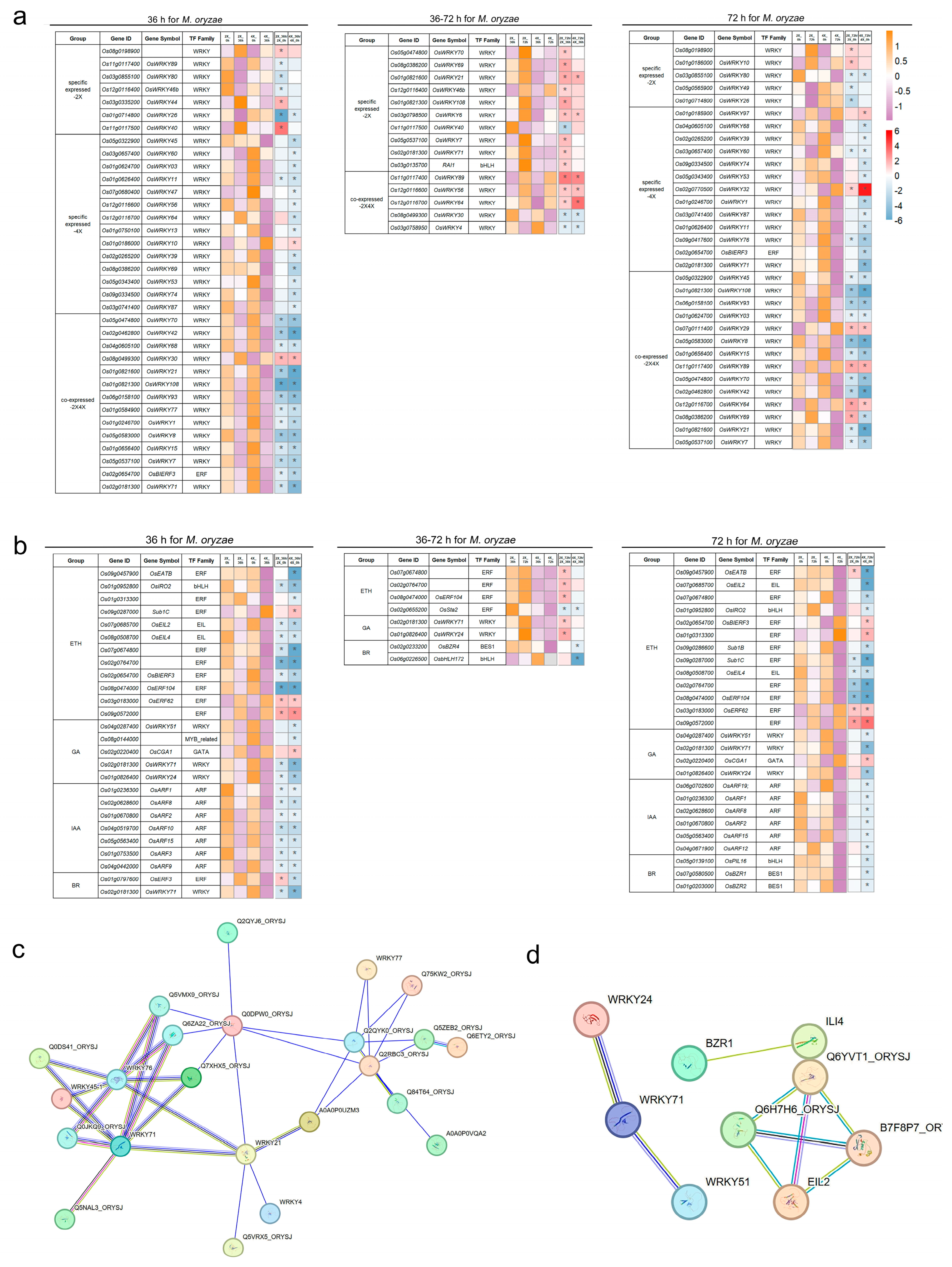 Agronomy 13 03007 g005