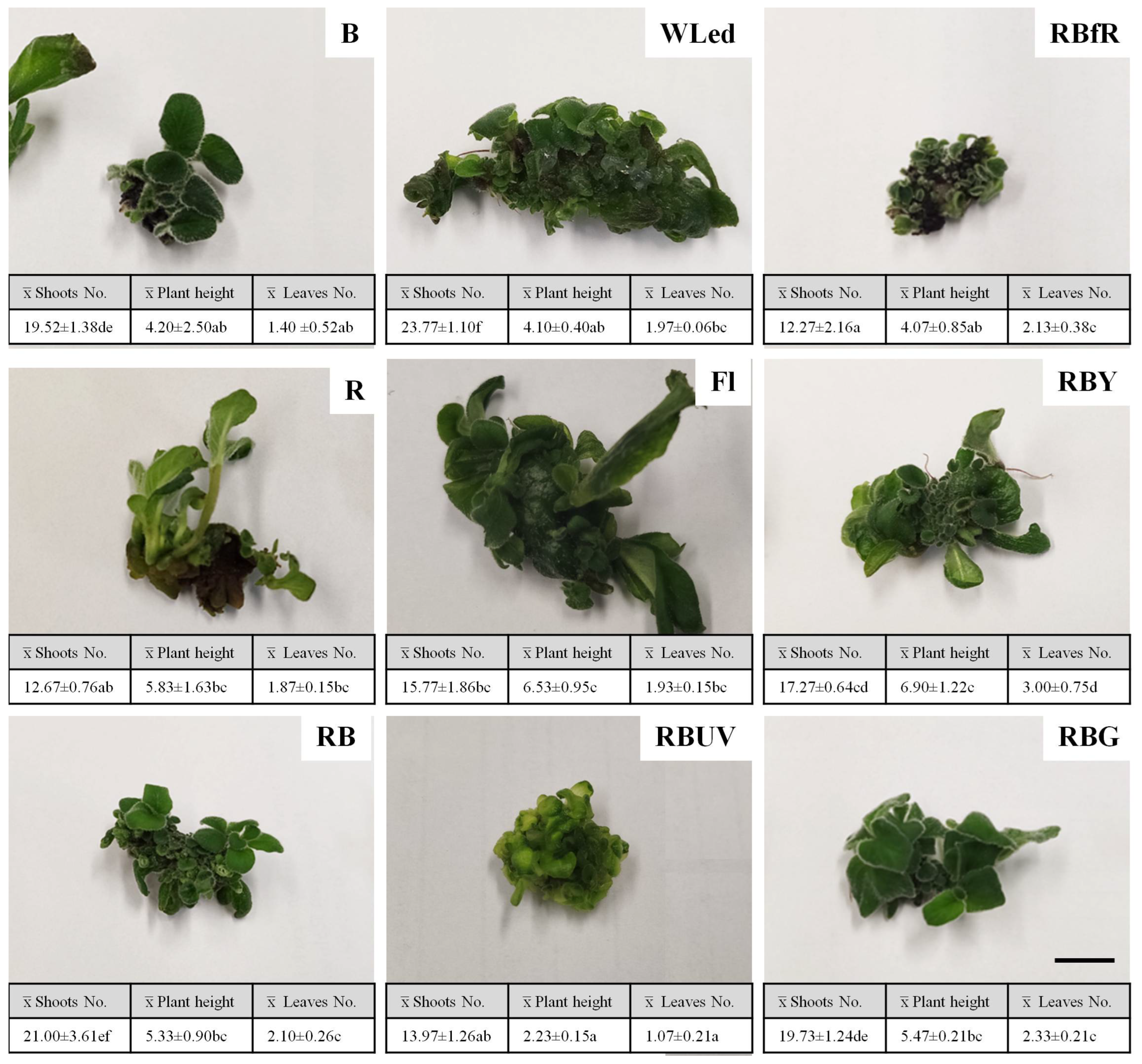 Agronomy 13 03009 g002 Agronomy 13 03009 g002