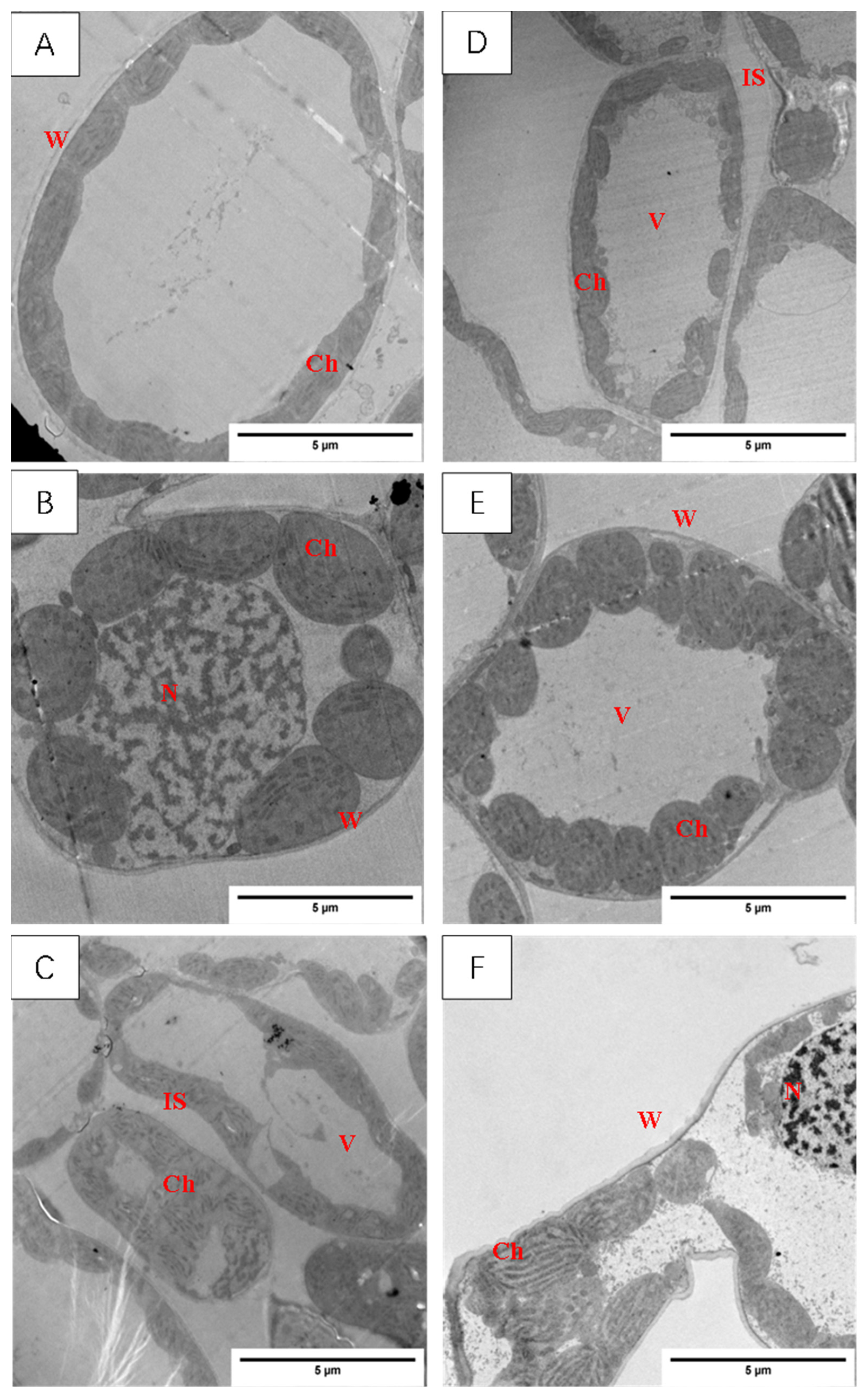 Agronomy 13 03011 g007
