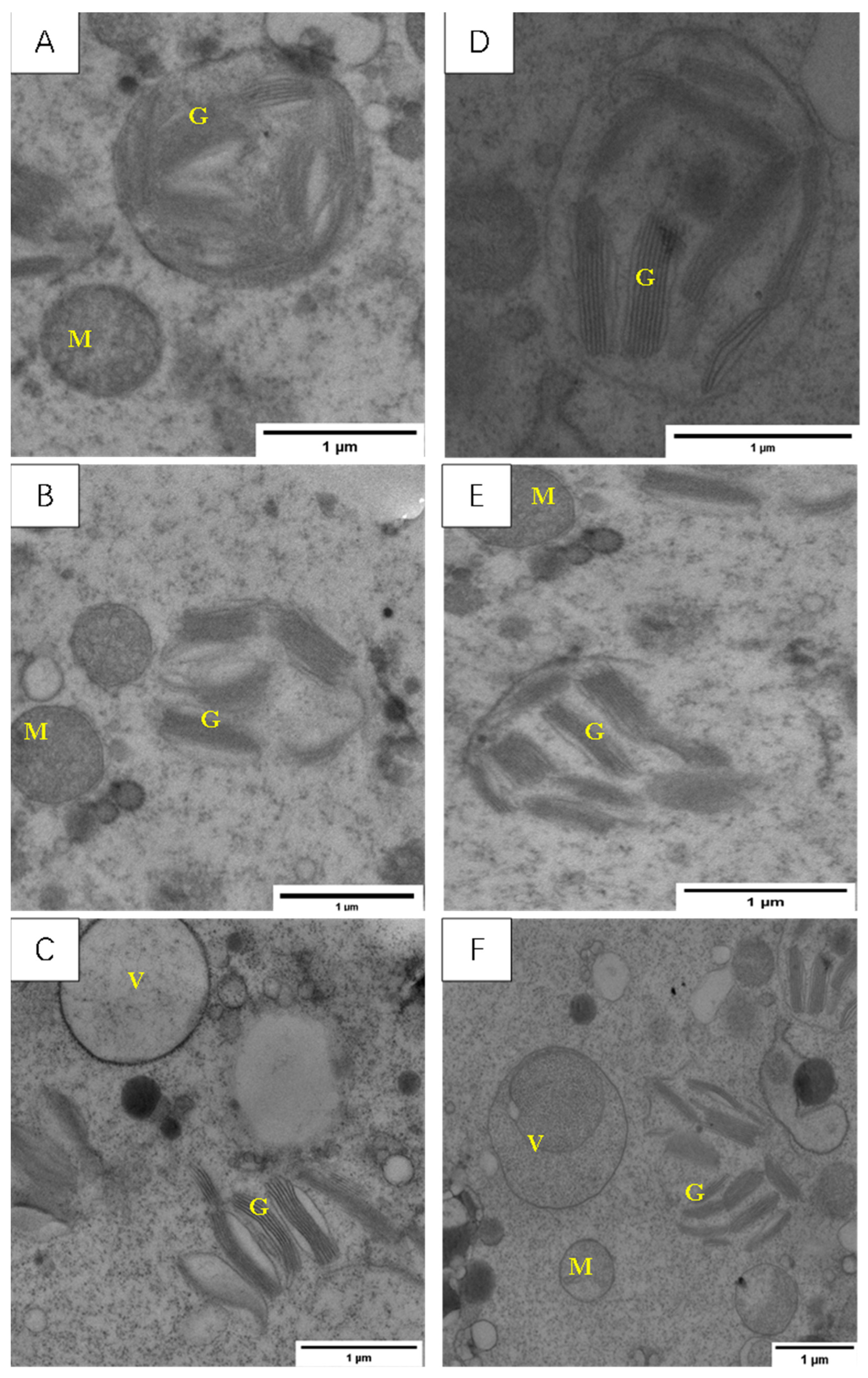 Agronomy 13 03011 g010