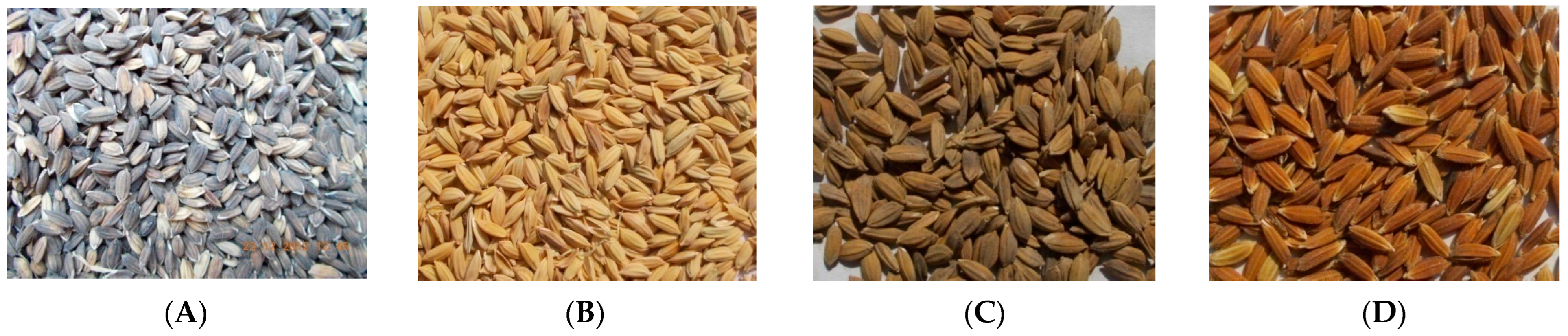 Agronomy 13 03015 g002