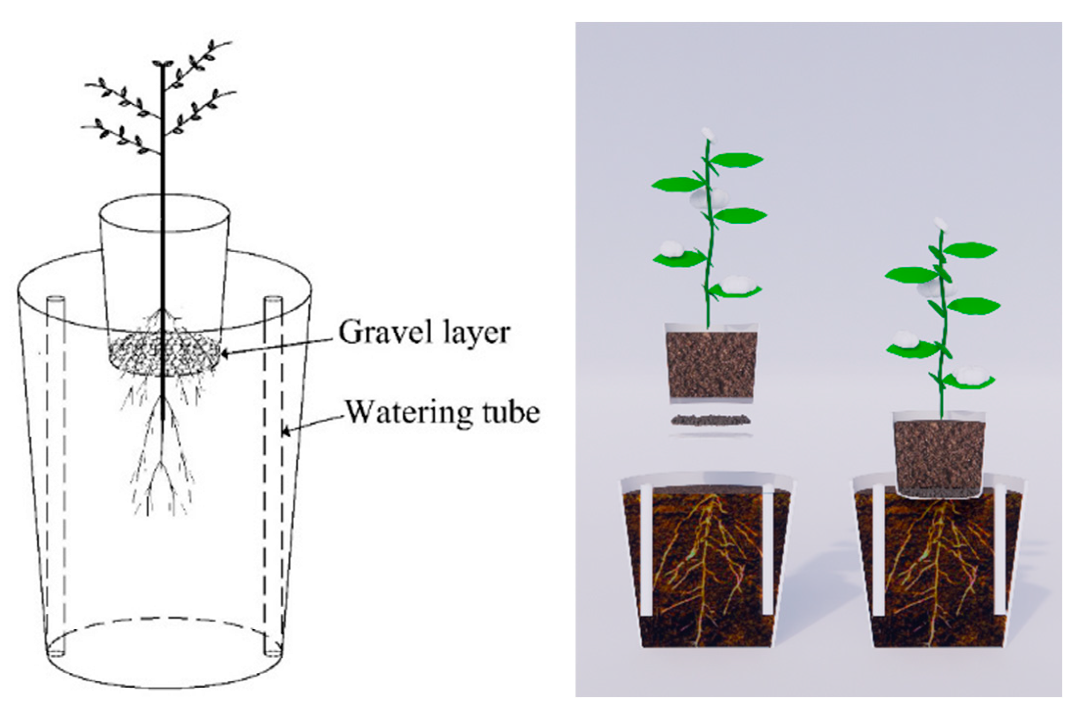 Agronomy 13 03022 g002