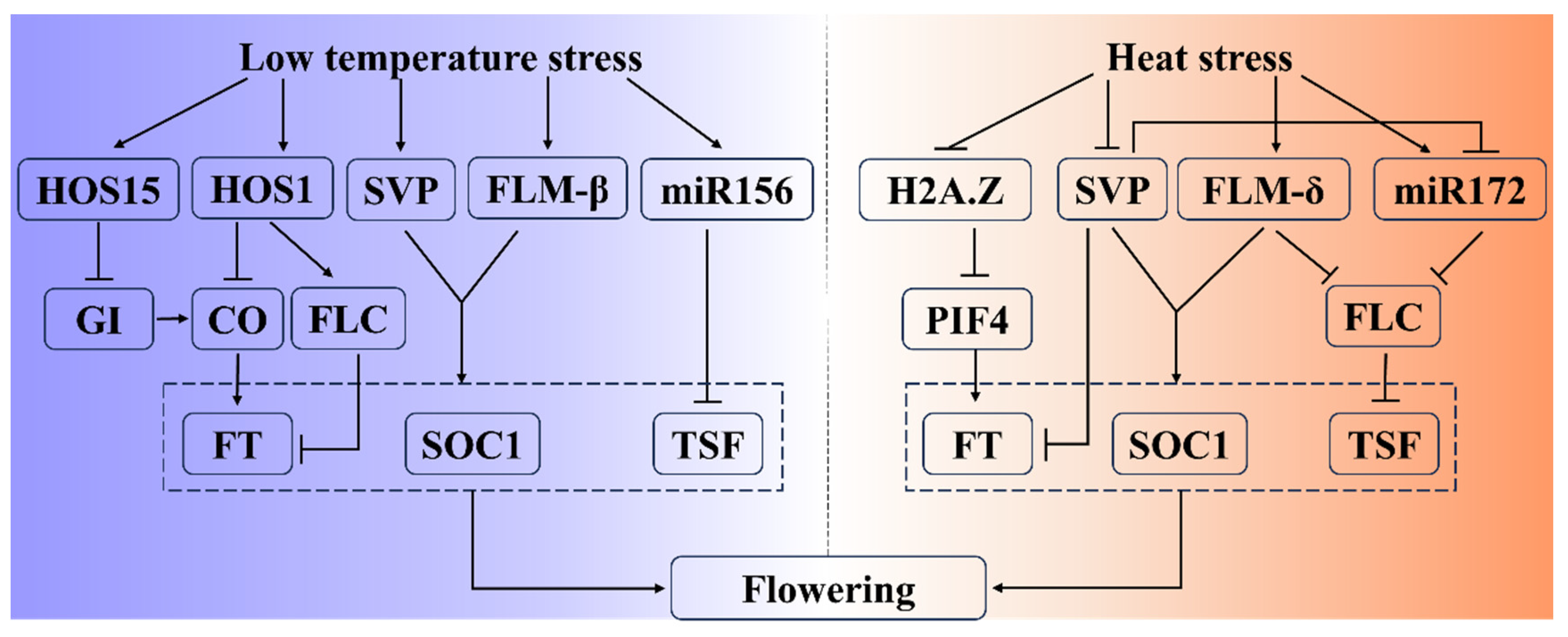 Agronomy 13 03034 g003
