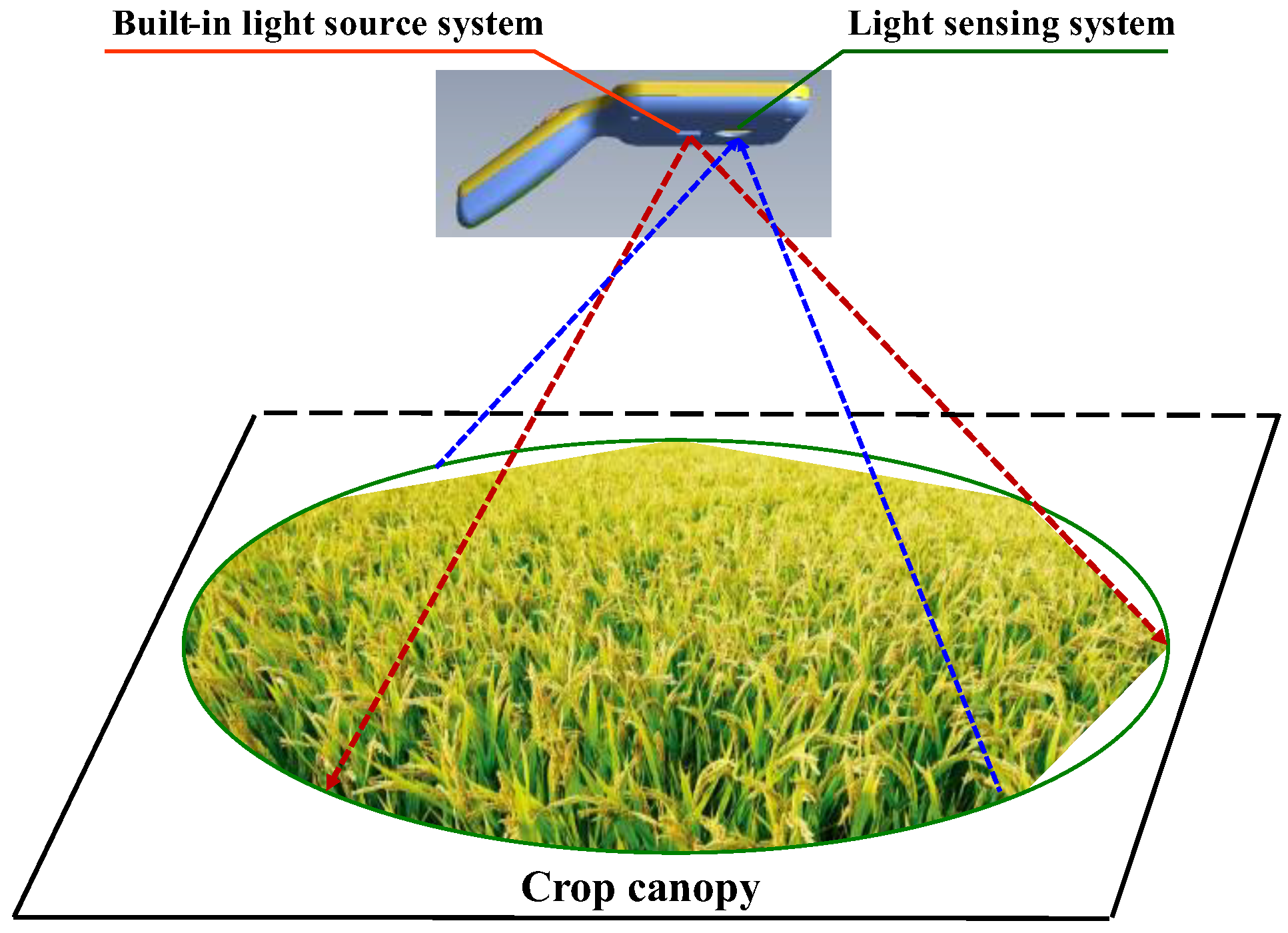 Agronomy 13 03043 g006