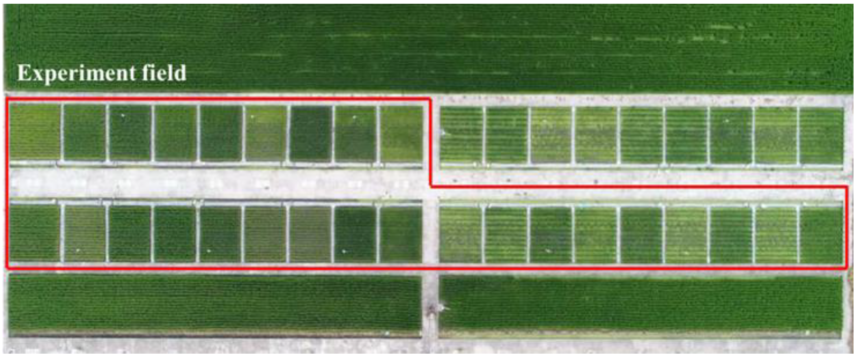 Agronomy 13 03043 g008