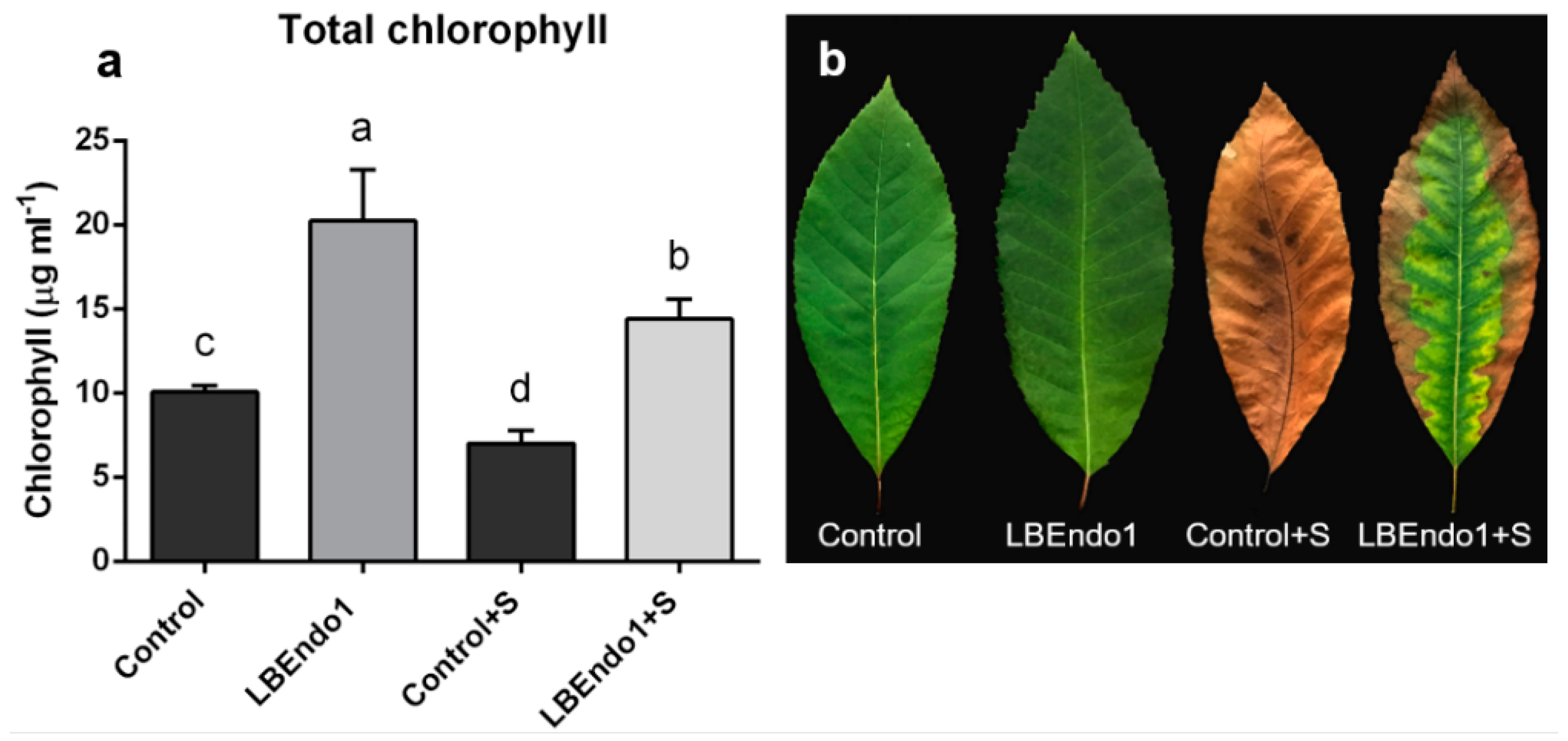 Agronomy 13 03045 g005