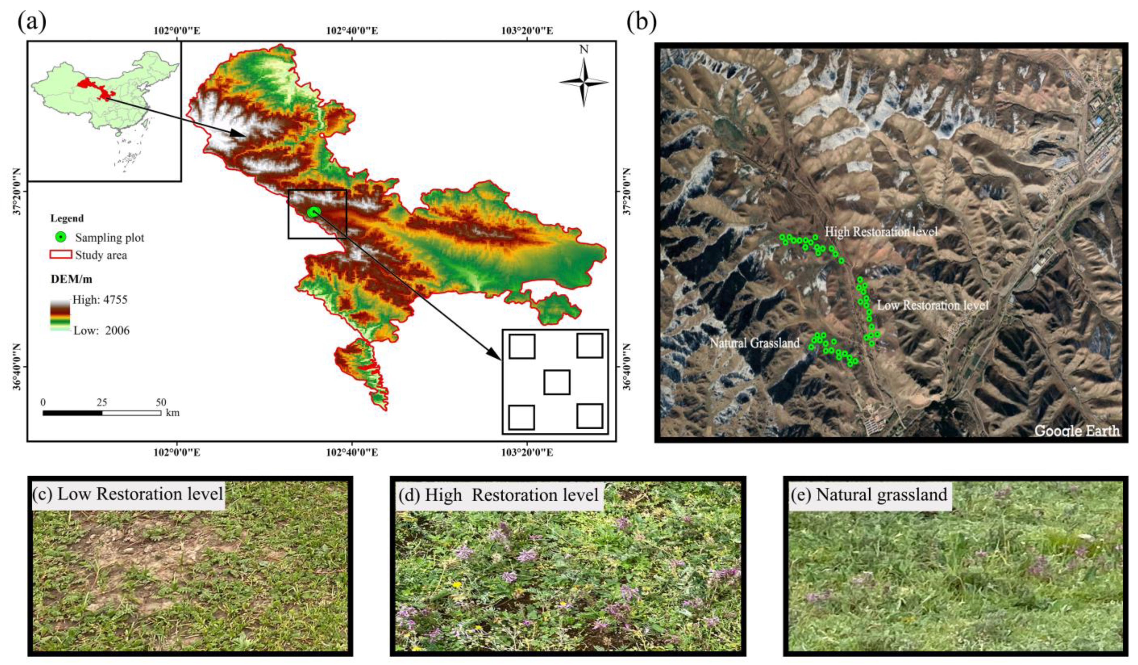 Agronomy 13 03052 g001
