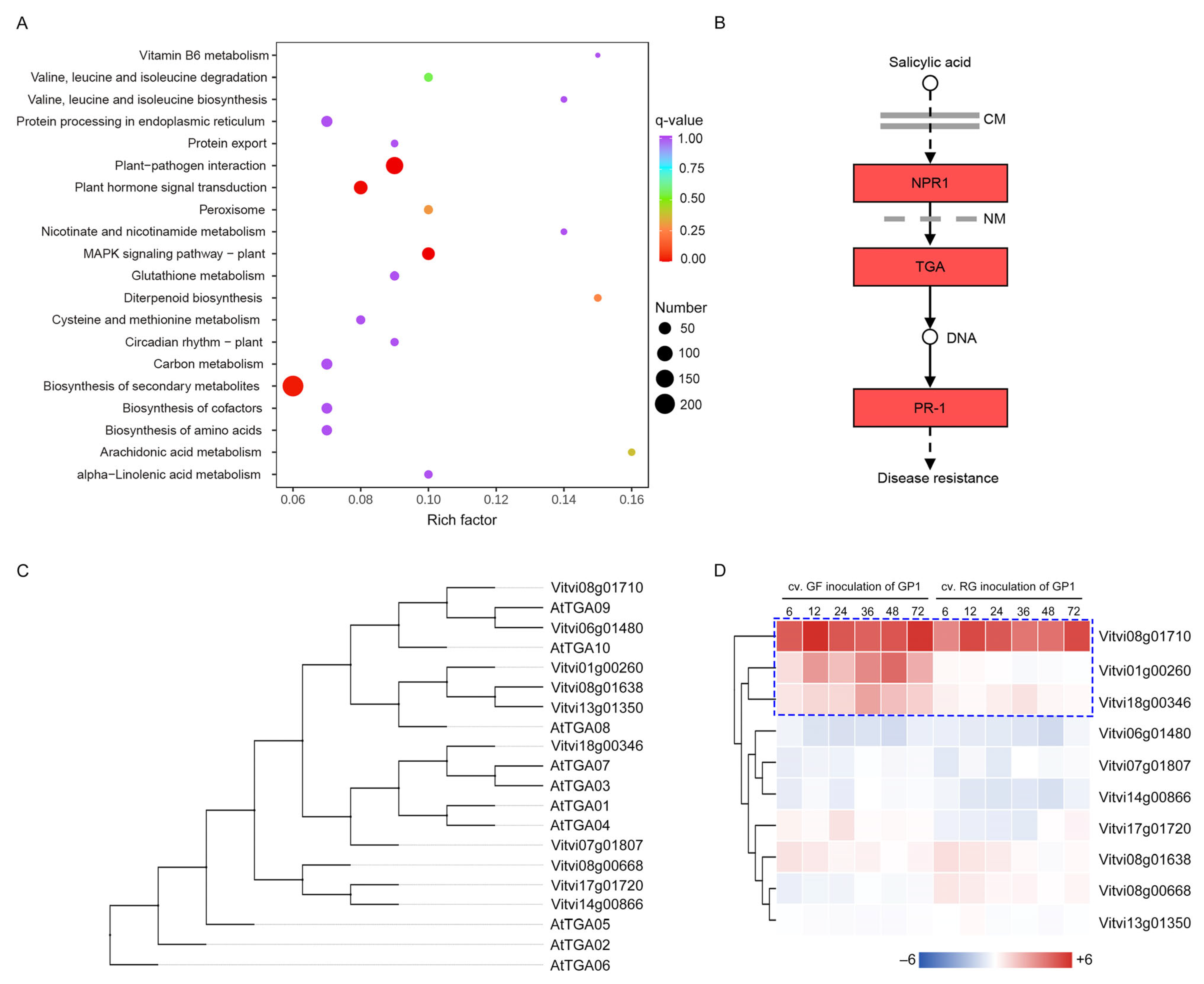 Agronomy 13 03054 g004