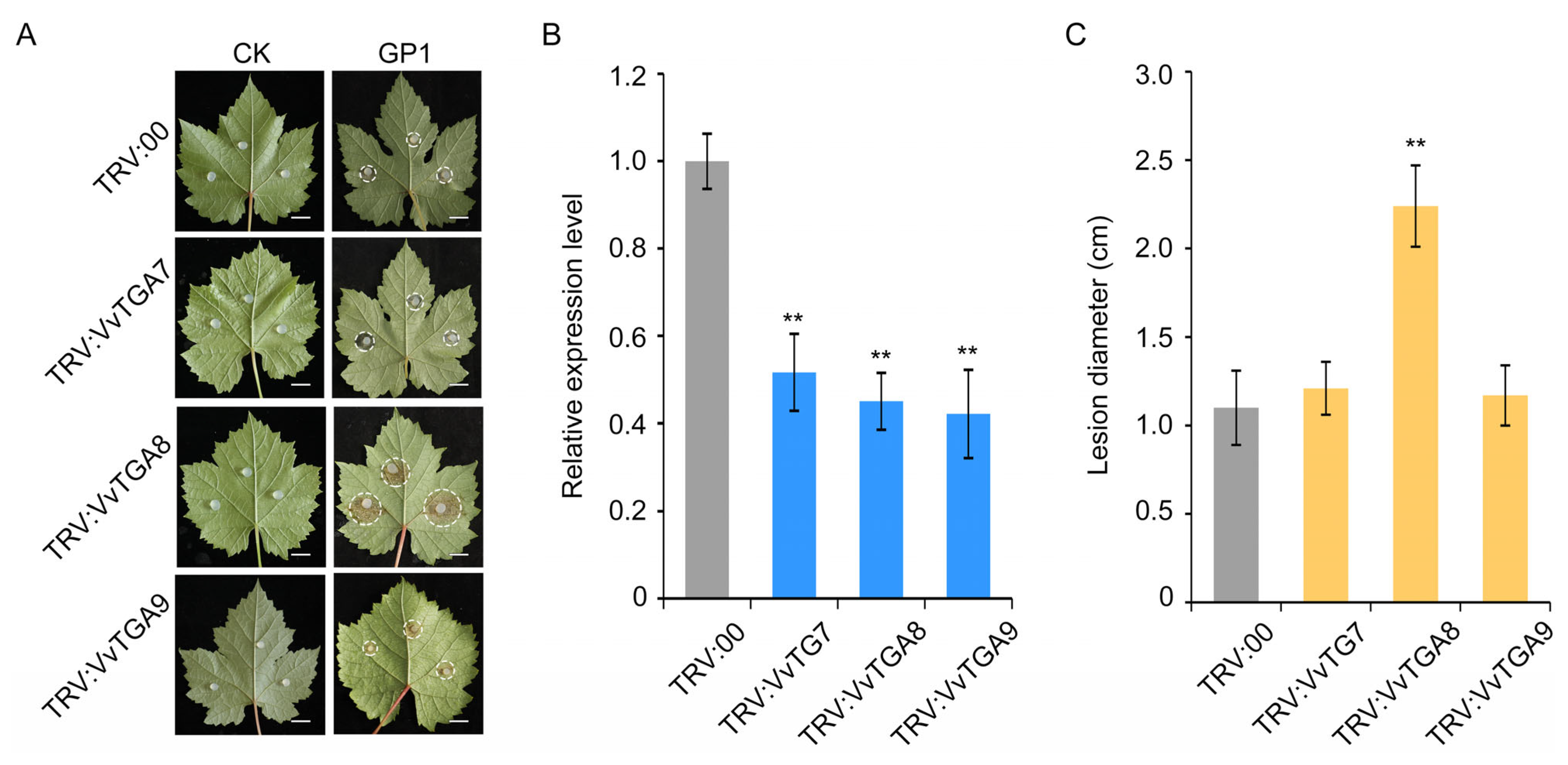 Agronomy 13 03054 g005