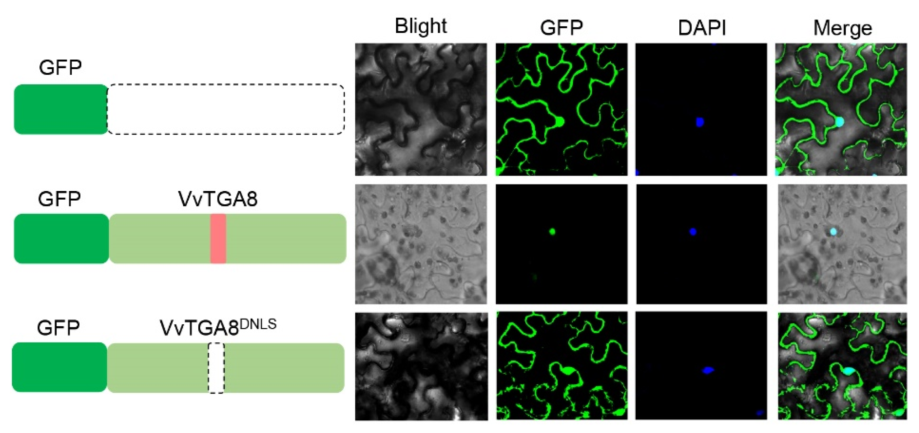 Agronomy 13 03054 g006
