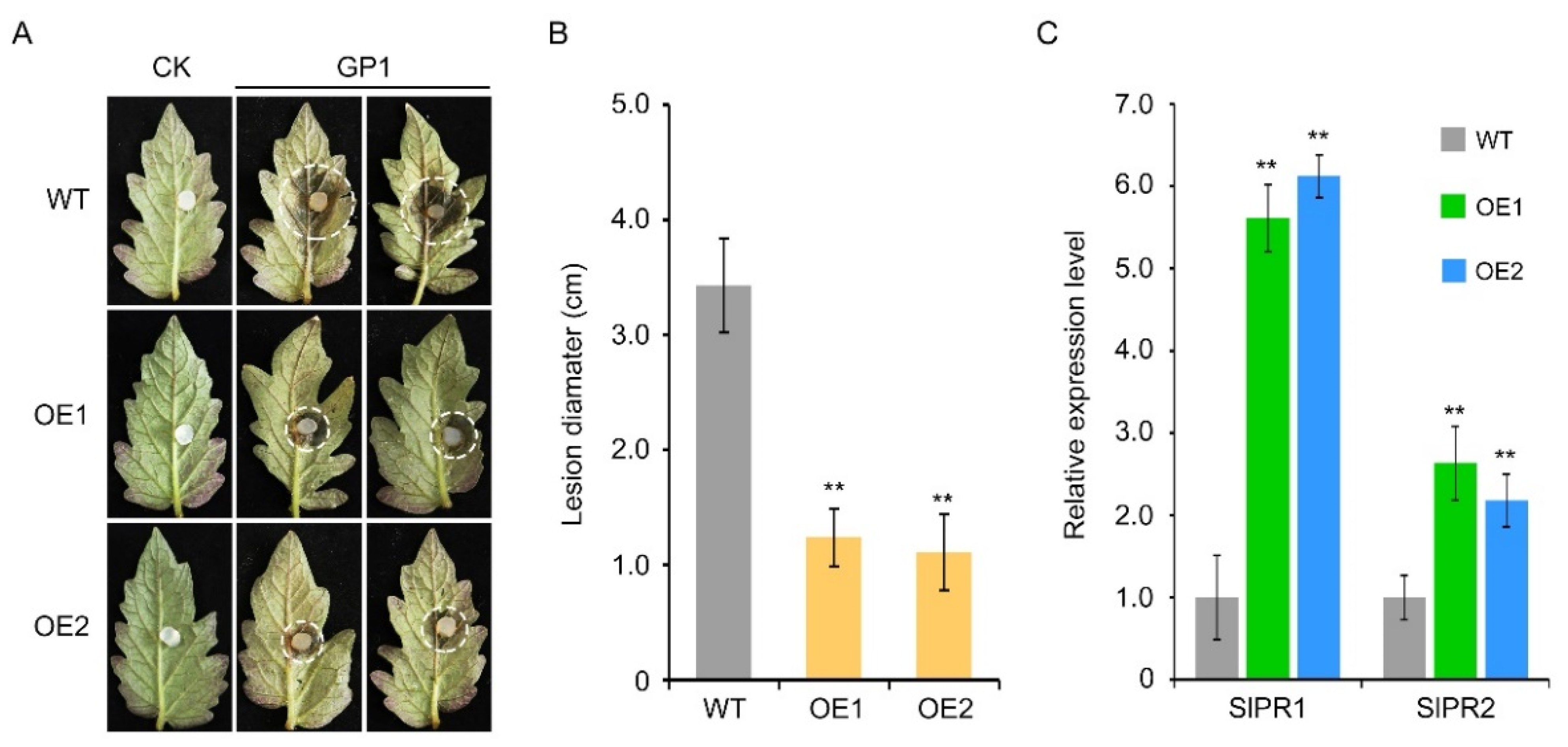 Agronomy 13 03054 g007
