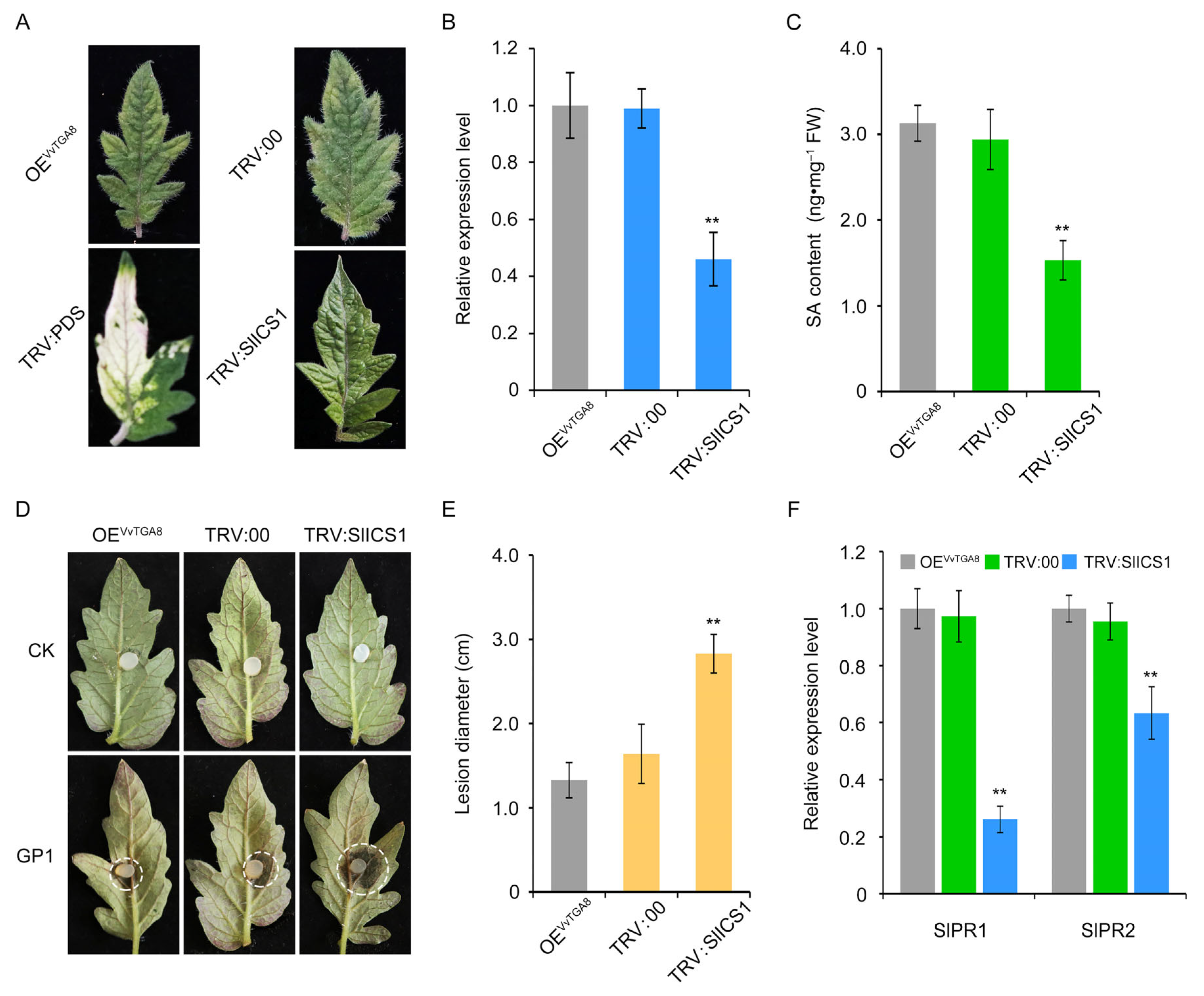Agronomy 13 03054 g008
