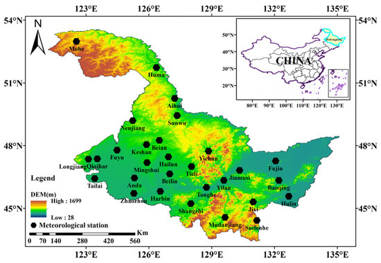 Spatiotemporal Evolution of Precipitation Heterogeneity