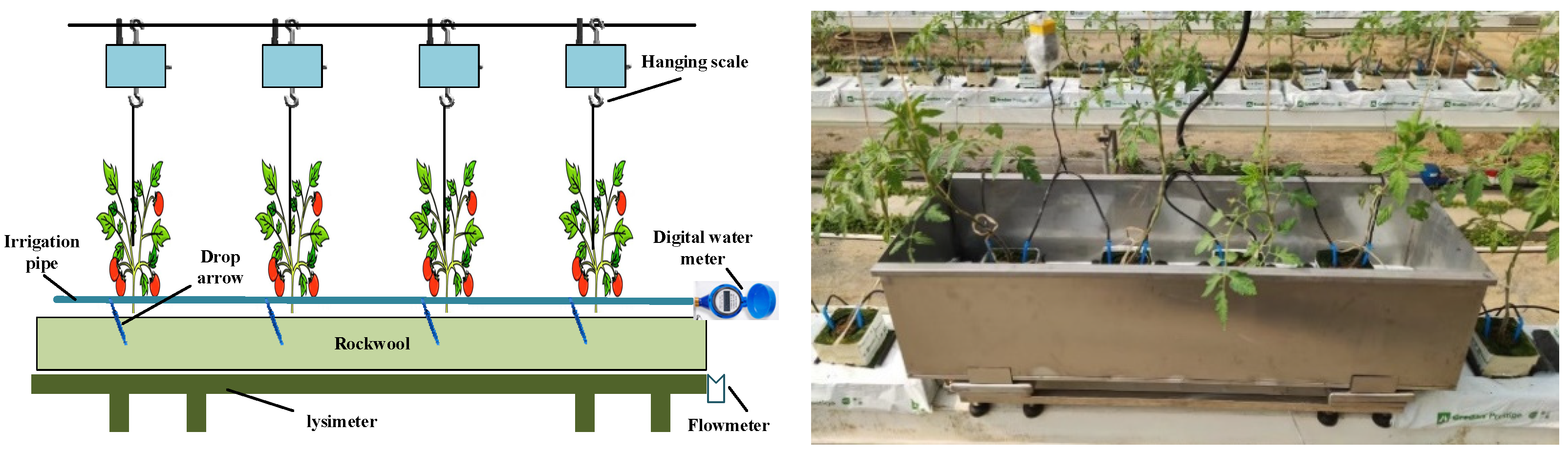Agronomy 13 03059 g001