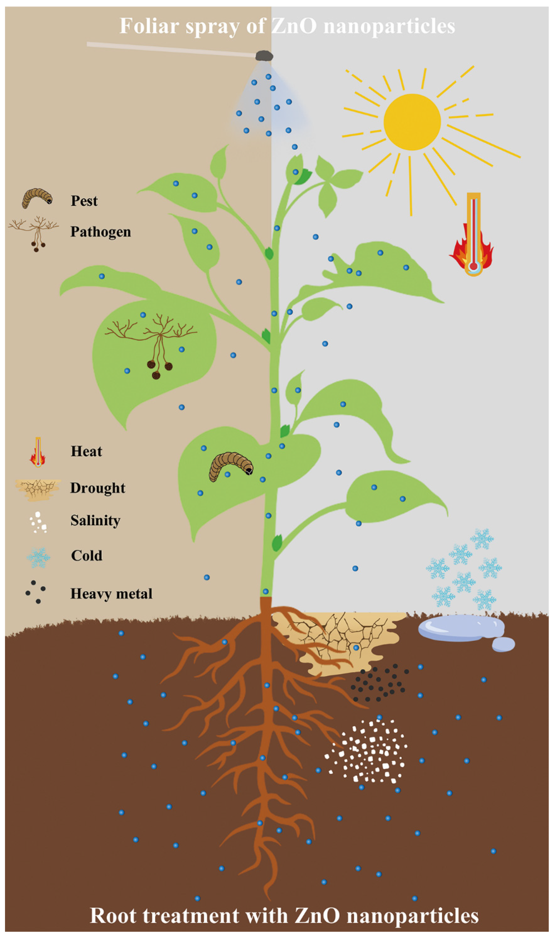 Agronomy 13 03060 g003