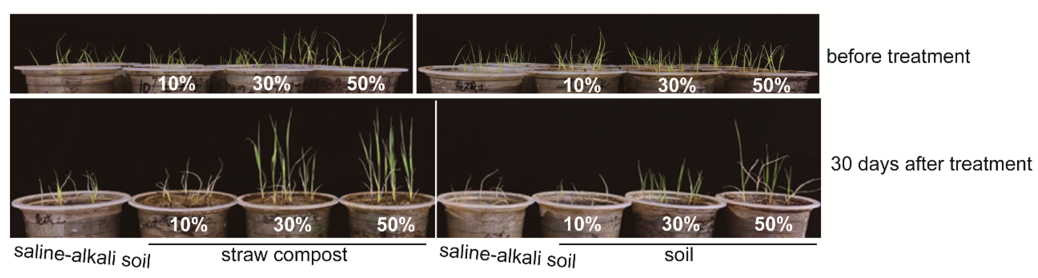 Agronomy 13 03066 g007