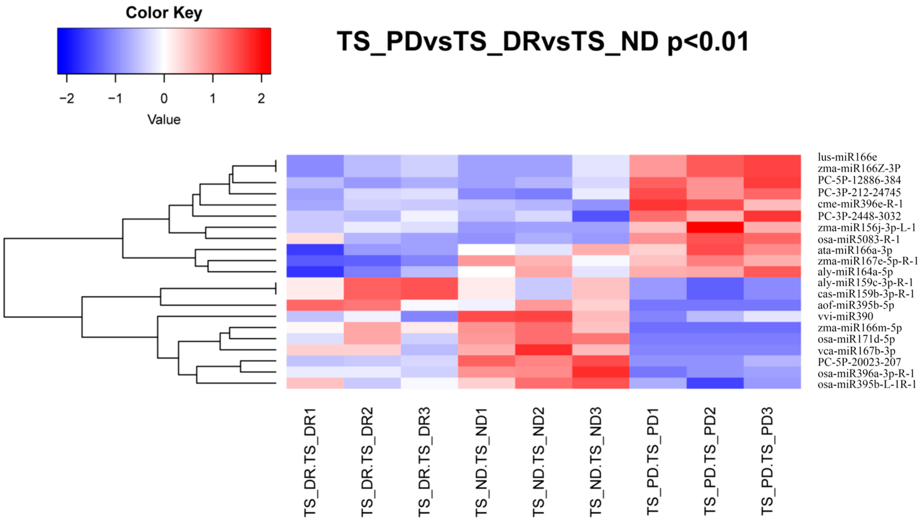 Agronomy 13 03067 g005